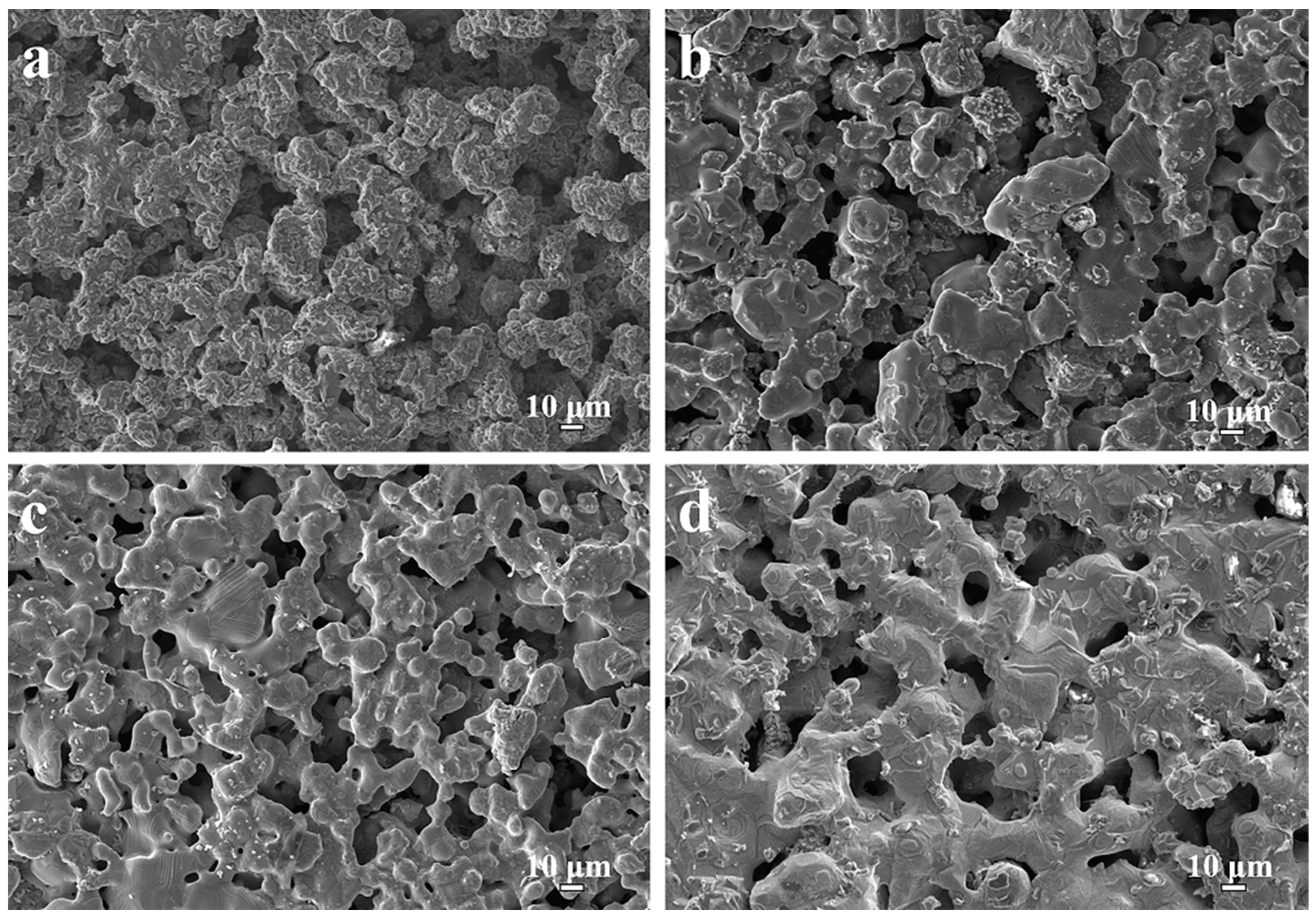 Membranes 12 00104 g003