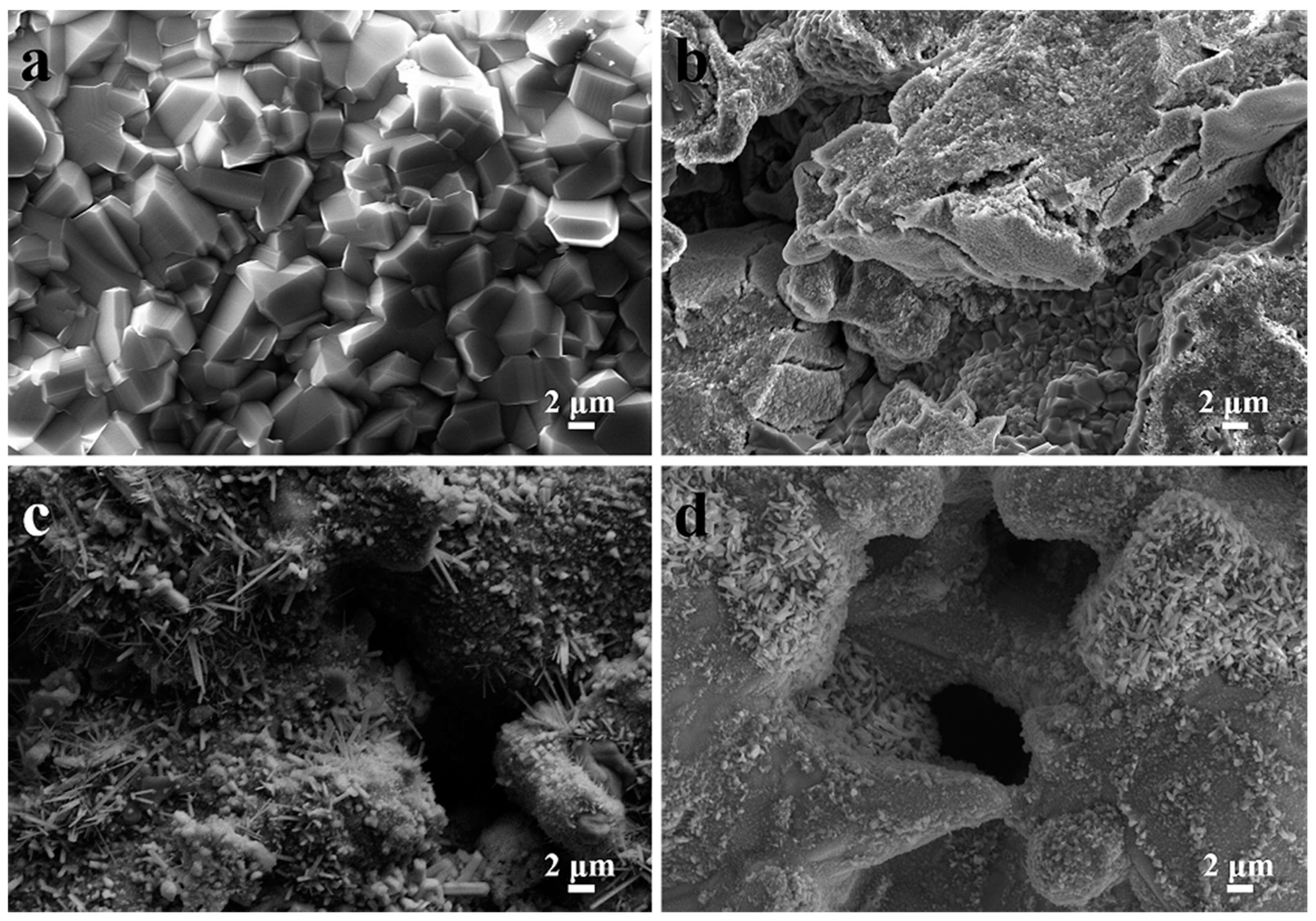 Membranes 12 00104 g006