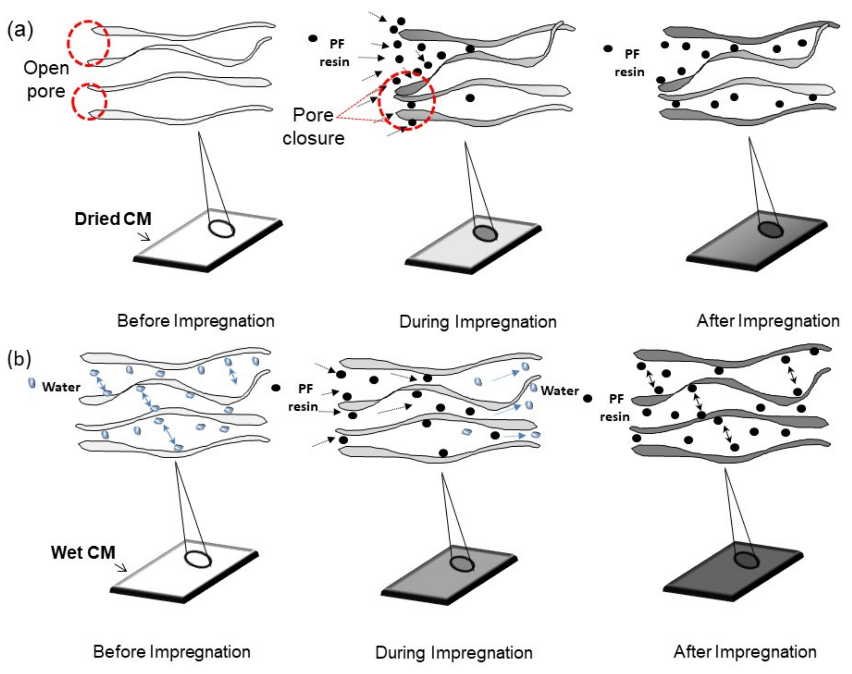 Membranes 12 00106 g003
