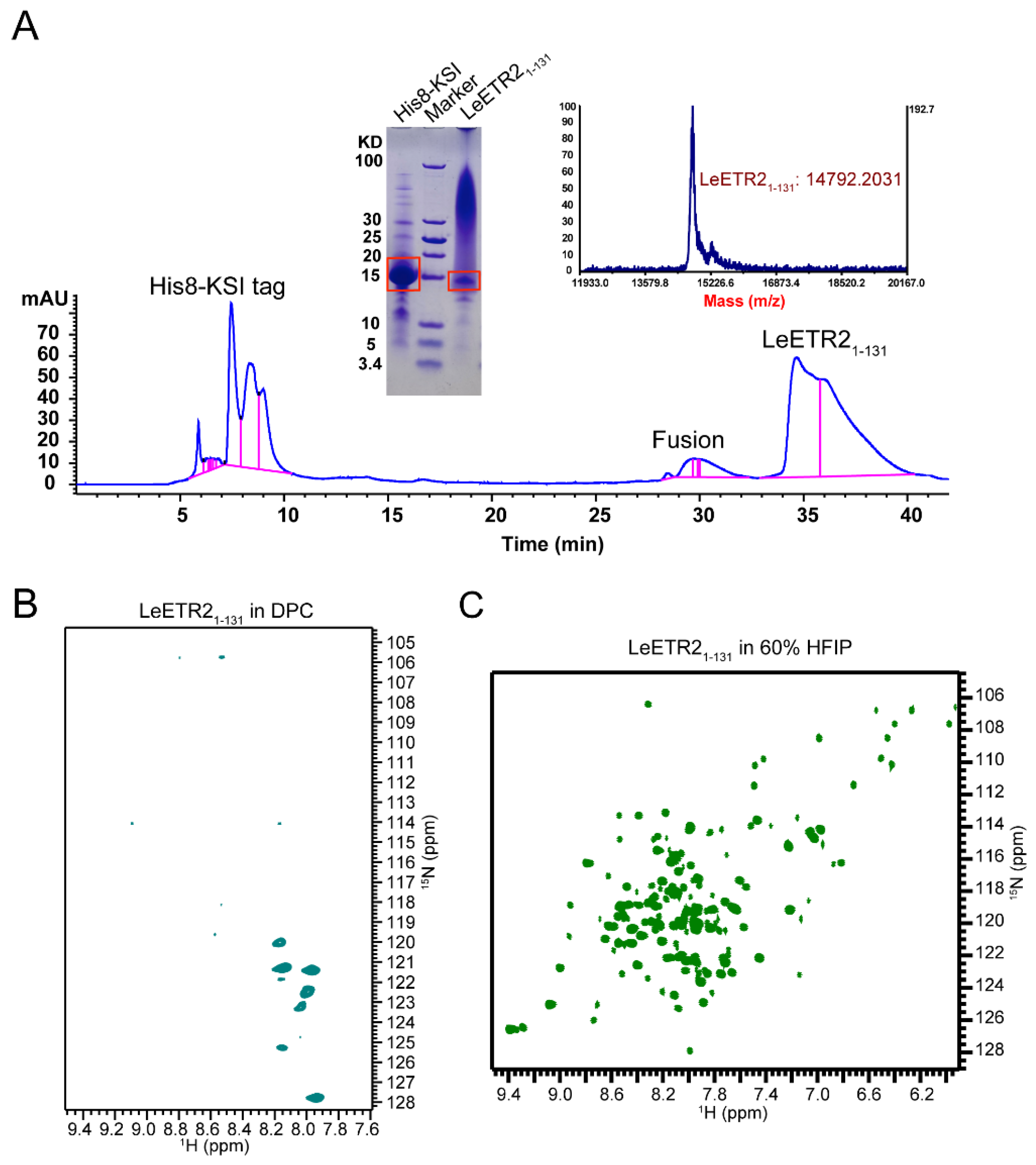 Membranes 12 00107 g002