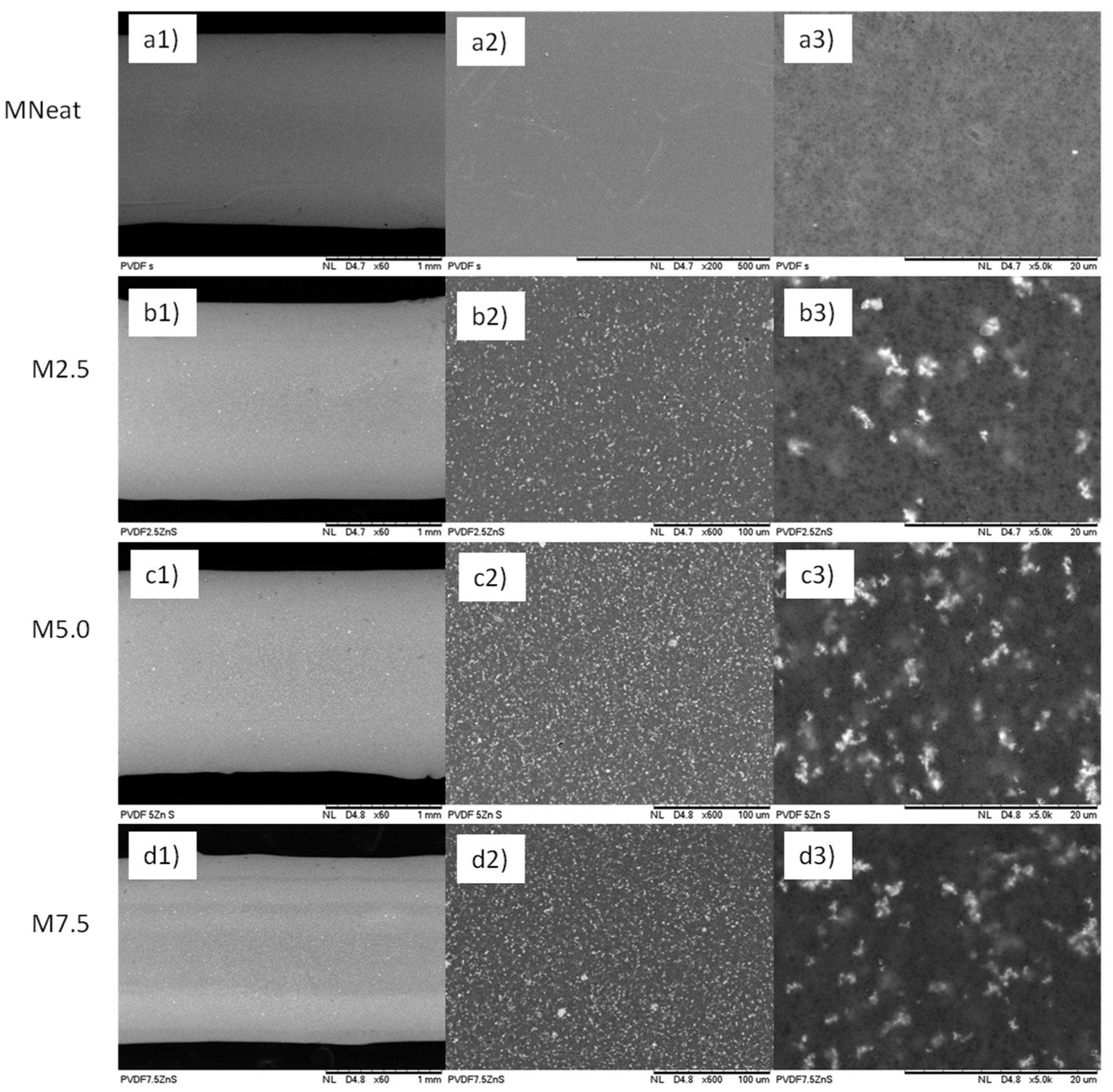 Membranes 12 00110 g002 Membranes 12 00110 g002