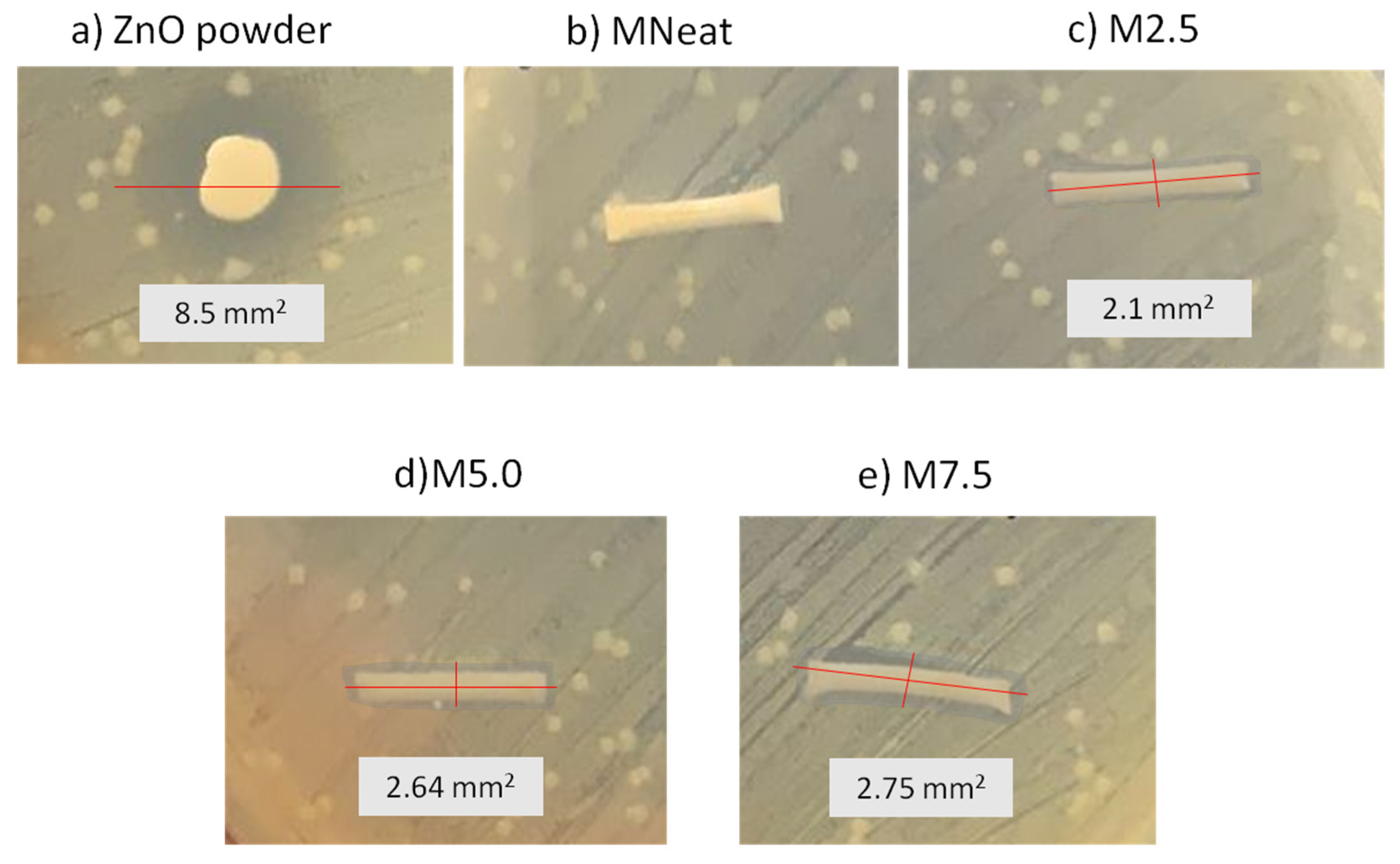 Membranes 12 00110 g006 Membranes 12 00110 g006