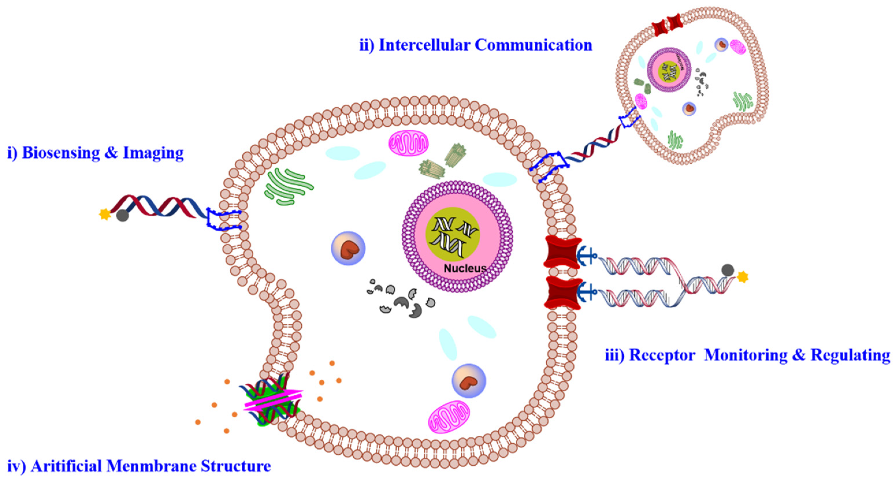 Membranes 12 00111 g001