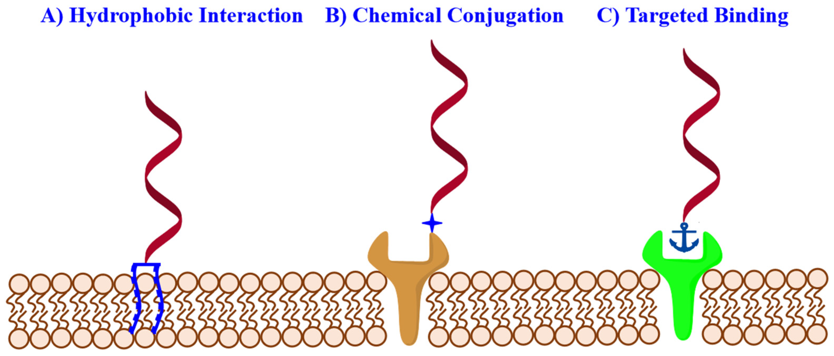 Membranes 12 00111 g002