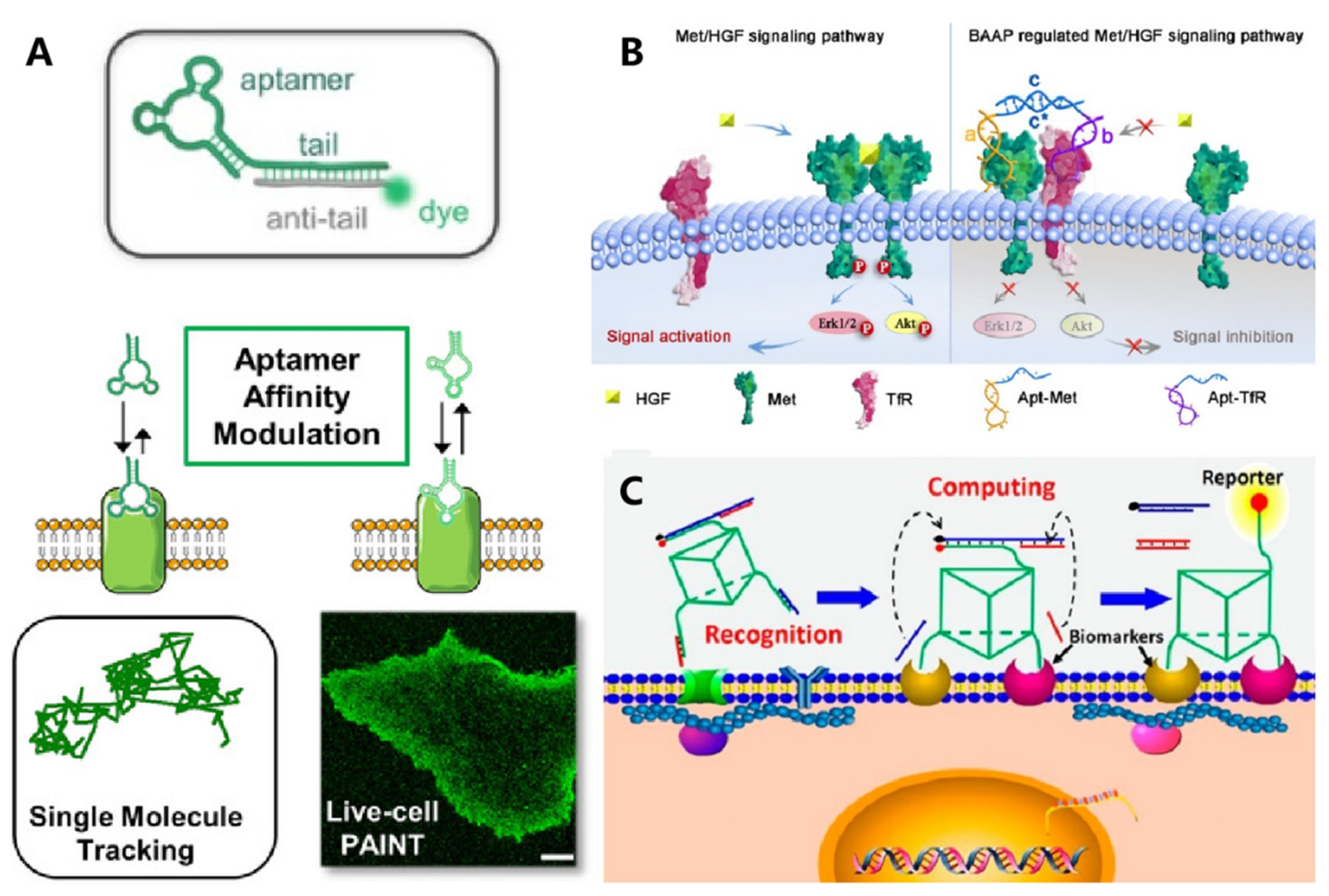 Membranes 12 00111 g005