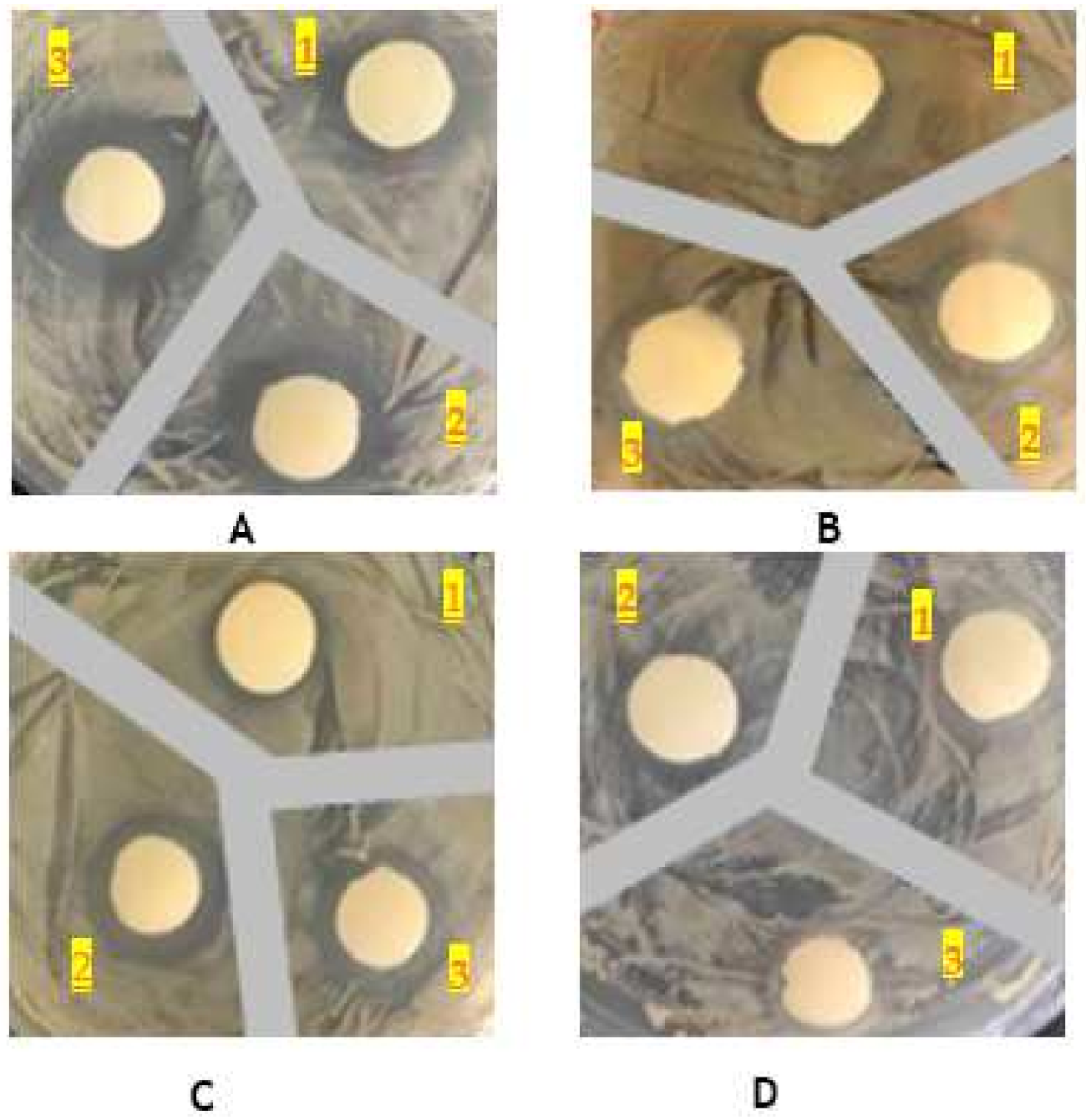 Membranes 12 00121 g005
