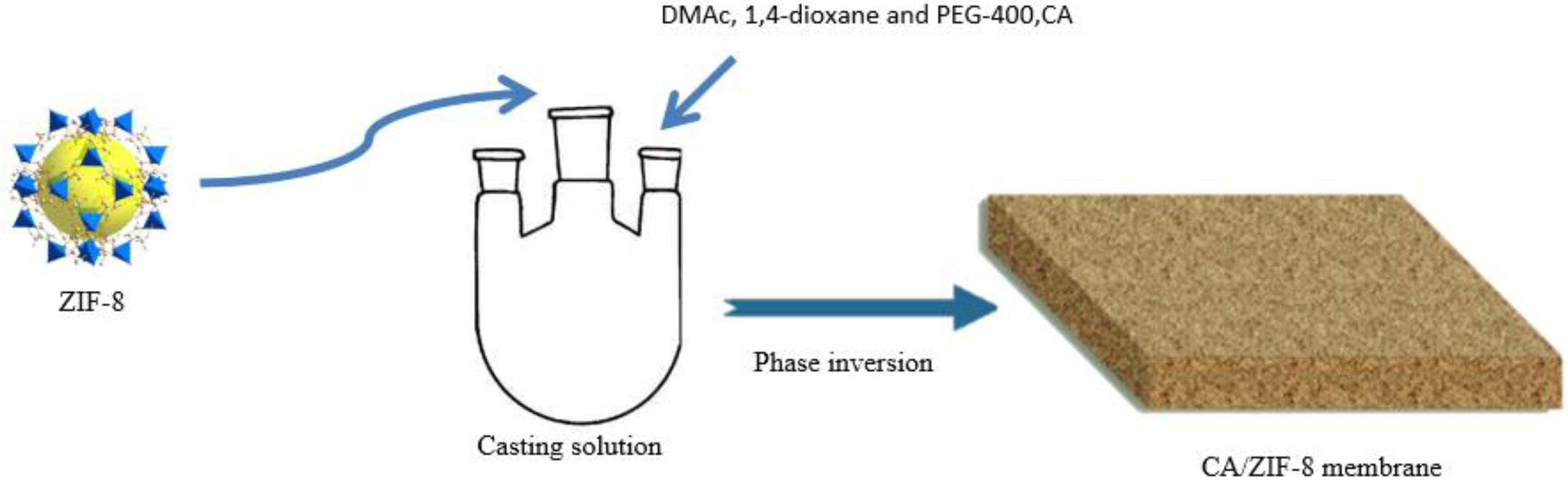 Membranes 12 00122 g001 550