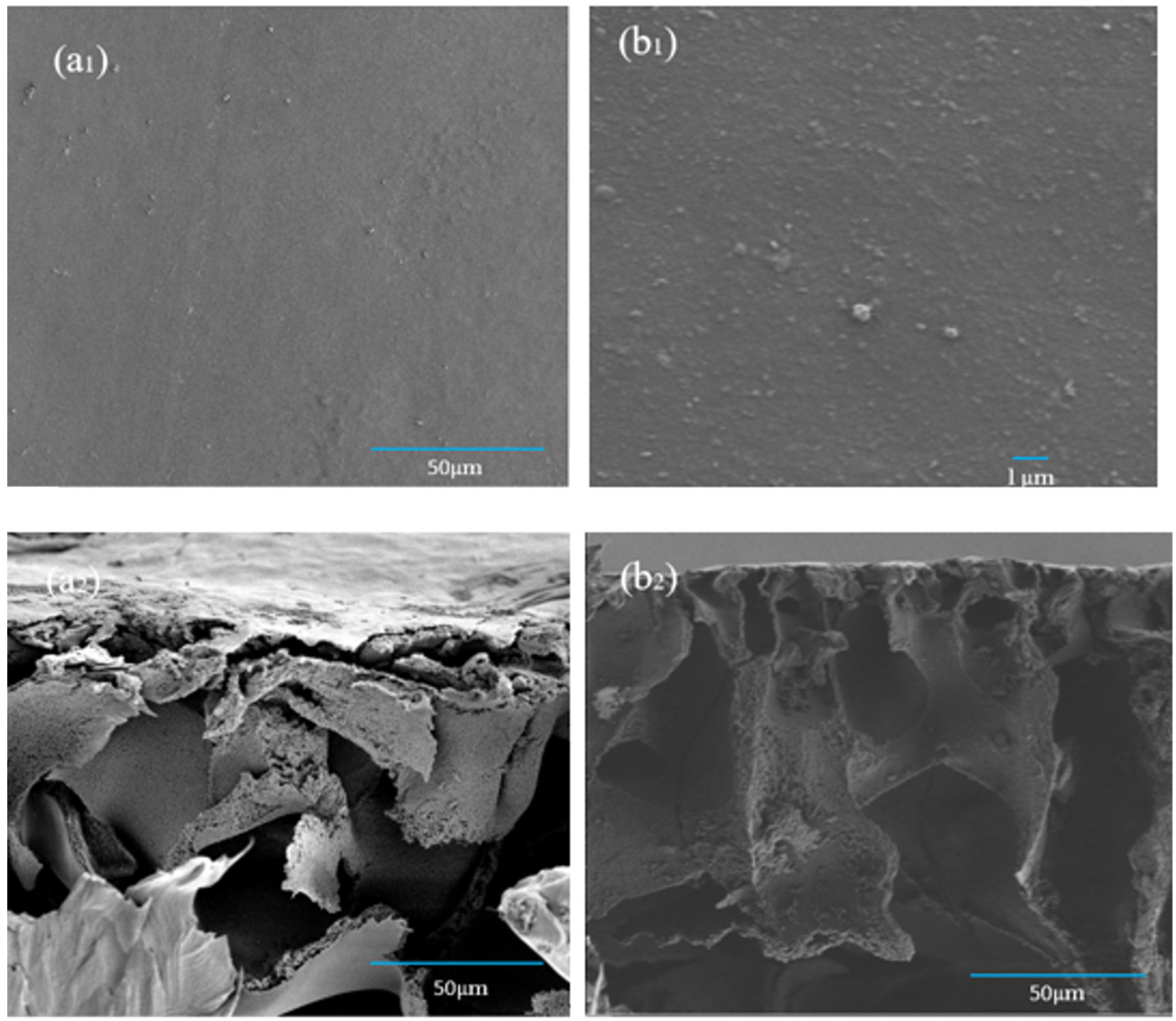 Membranes 12 00122 g009 550