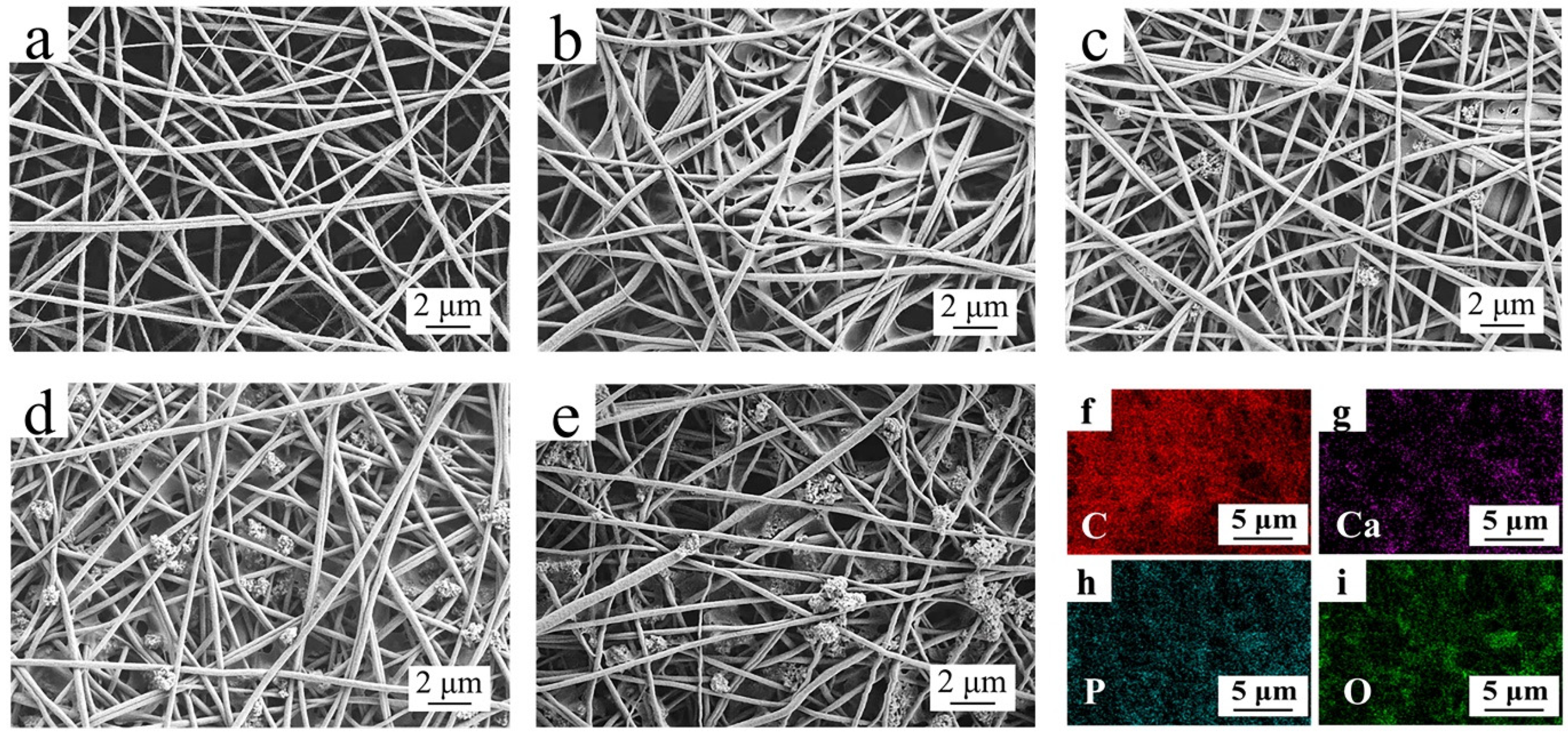 Membranes 12 00124 g002