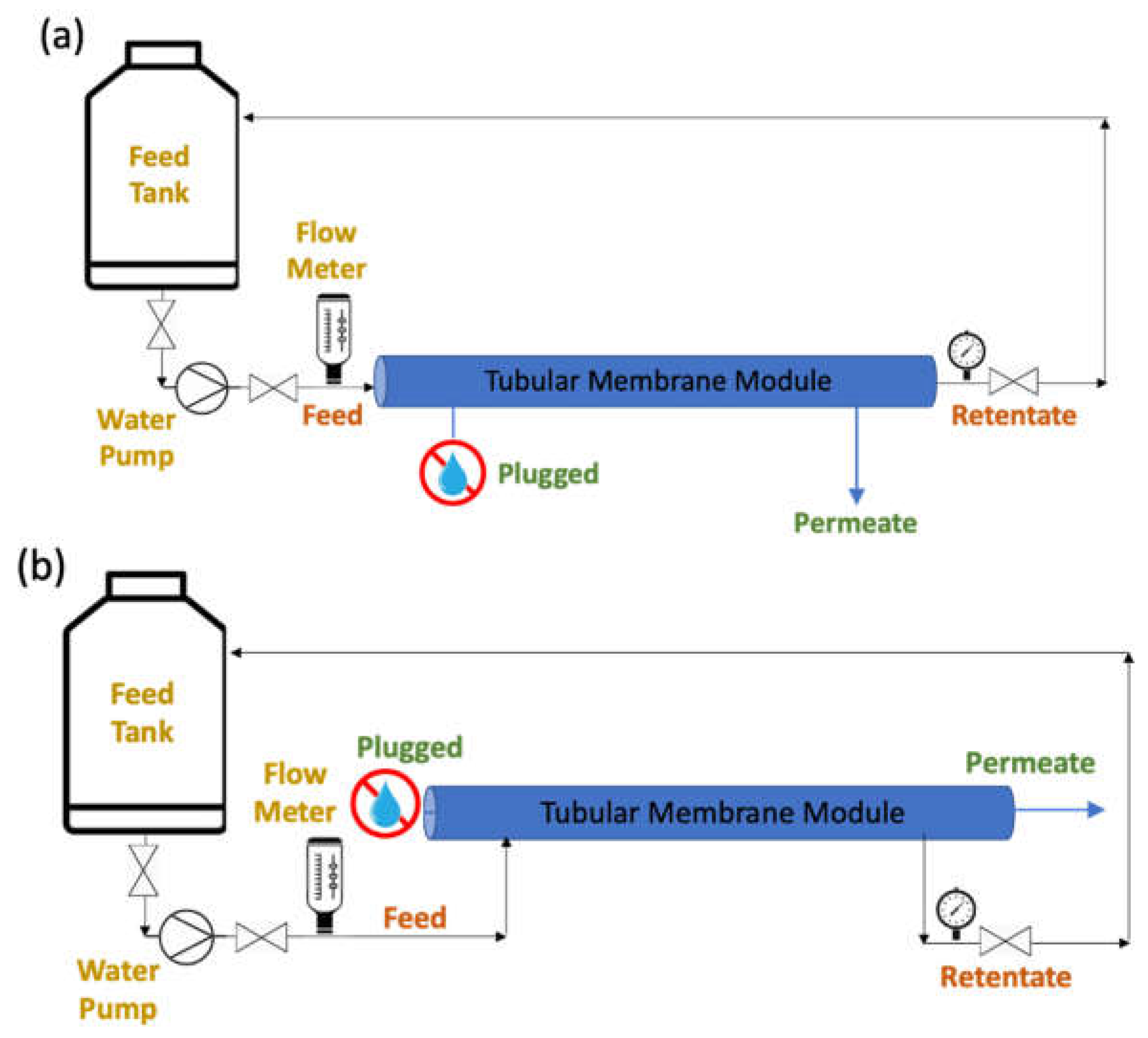 Membranes 12 00129 g002