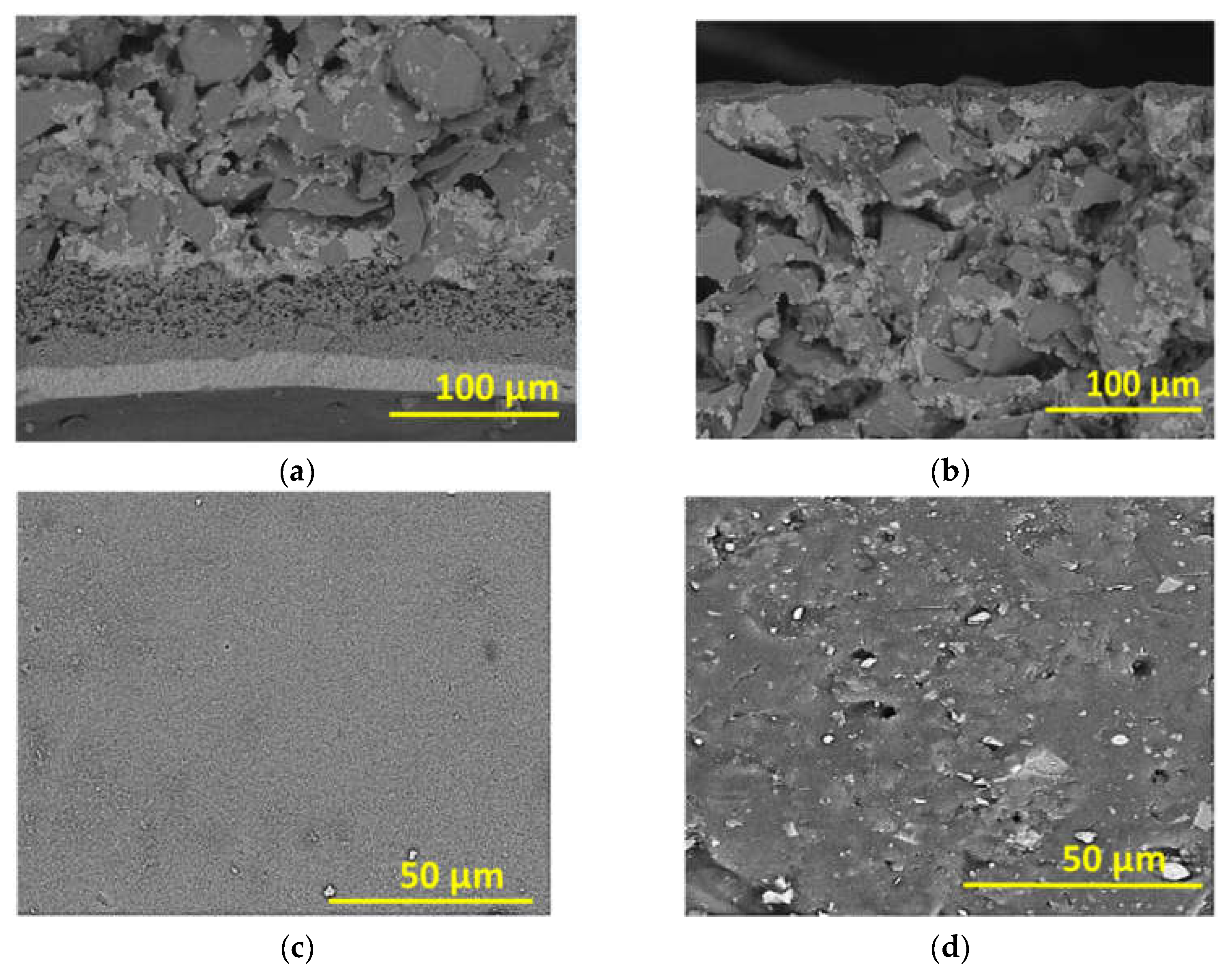Membranes 12 00129 g004