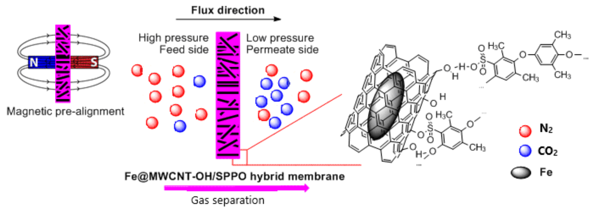 Membranes 12 00132 g002 550