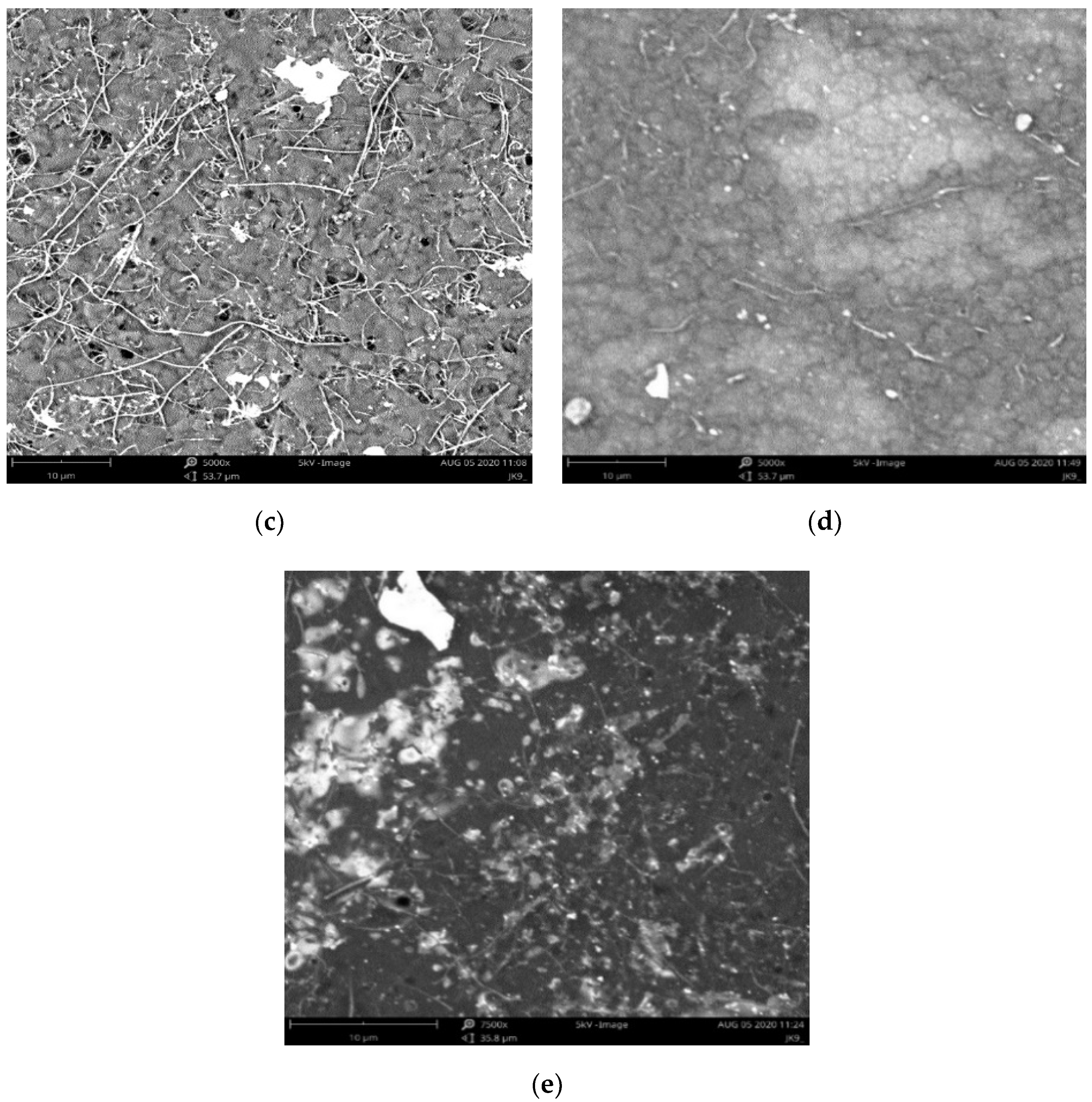 Membranes 12 00132 g005b 550