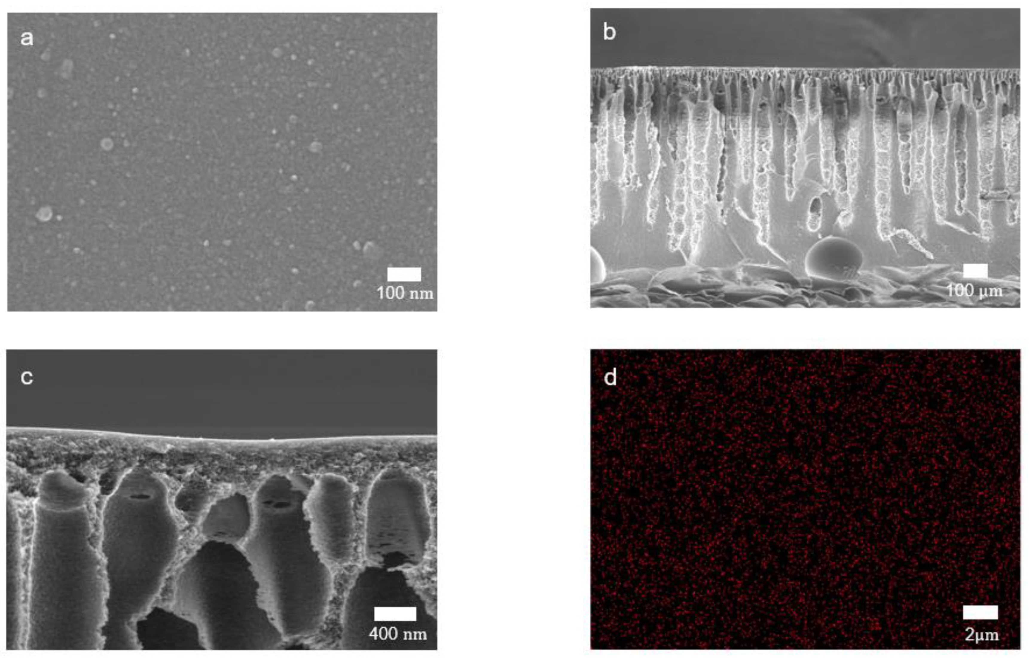 Membranes 12 00140 g004 550
