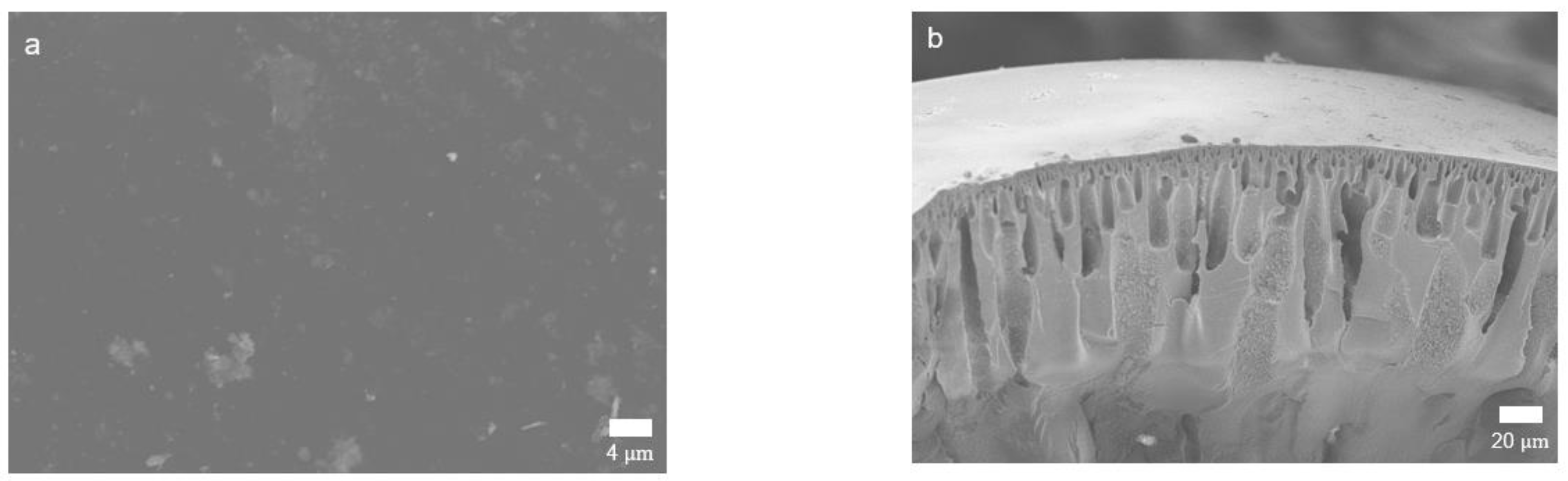 Membranes 12 00140 g009 550