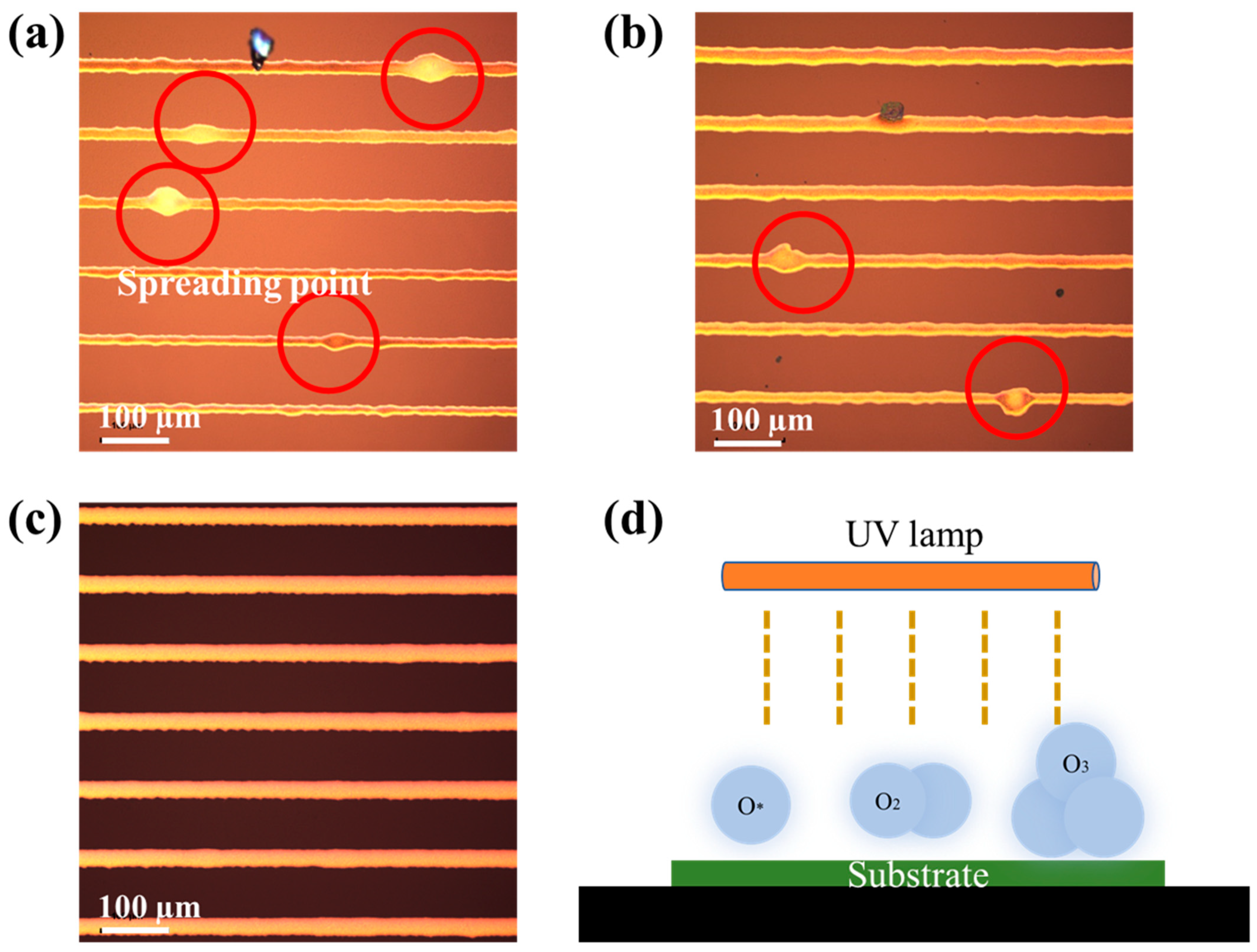 Membranes 12 00141 g002