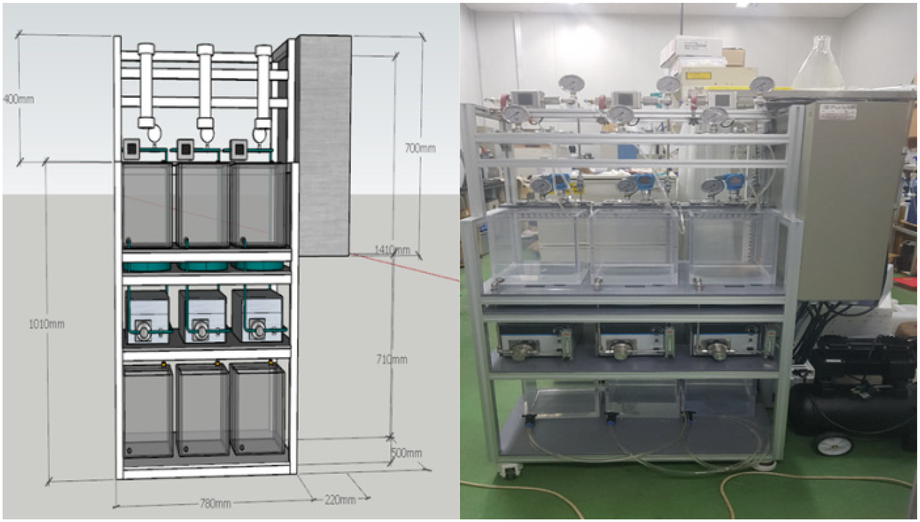 Membranes 12 00142 g001 550