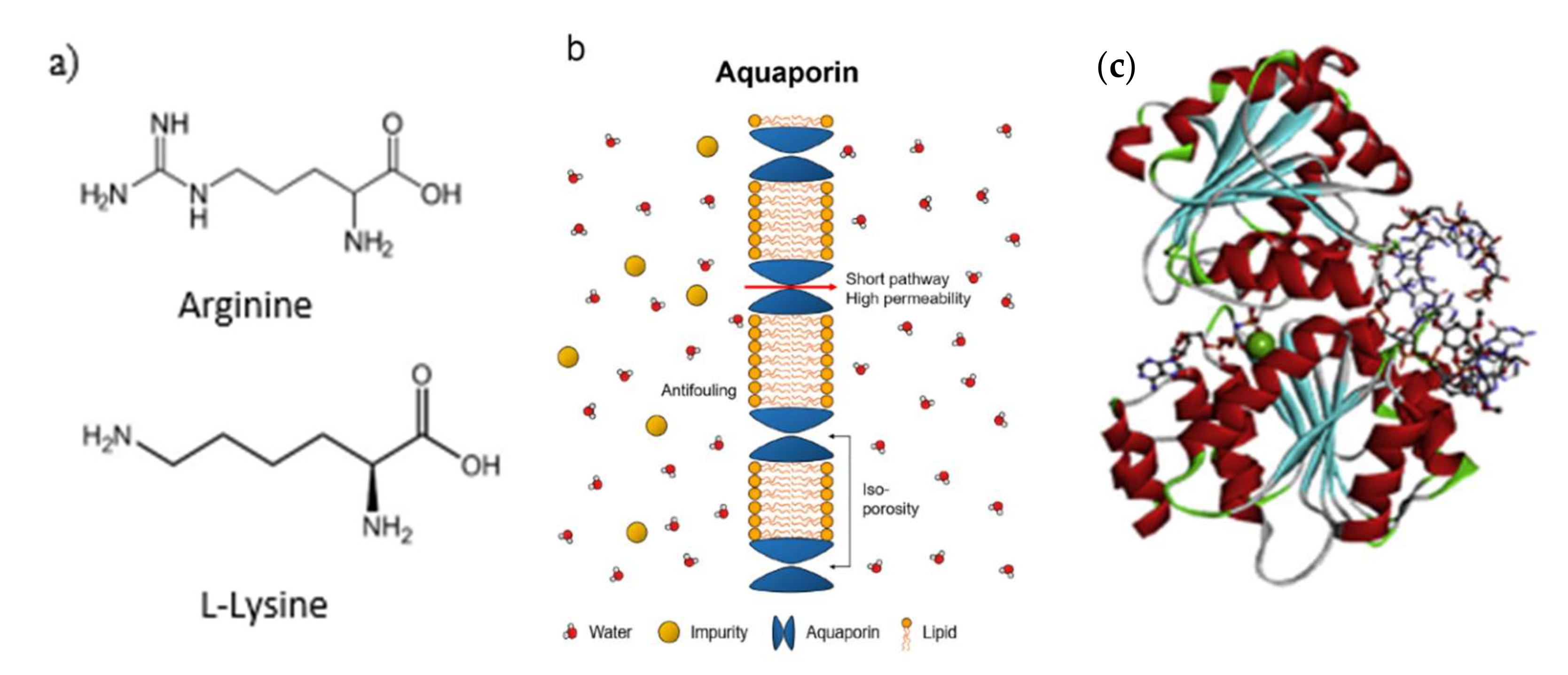 Membranes 12 00148 g002