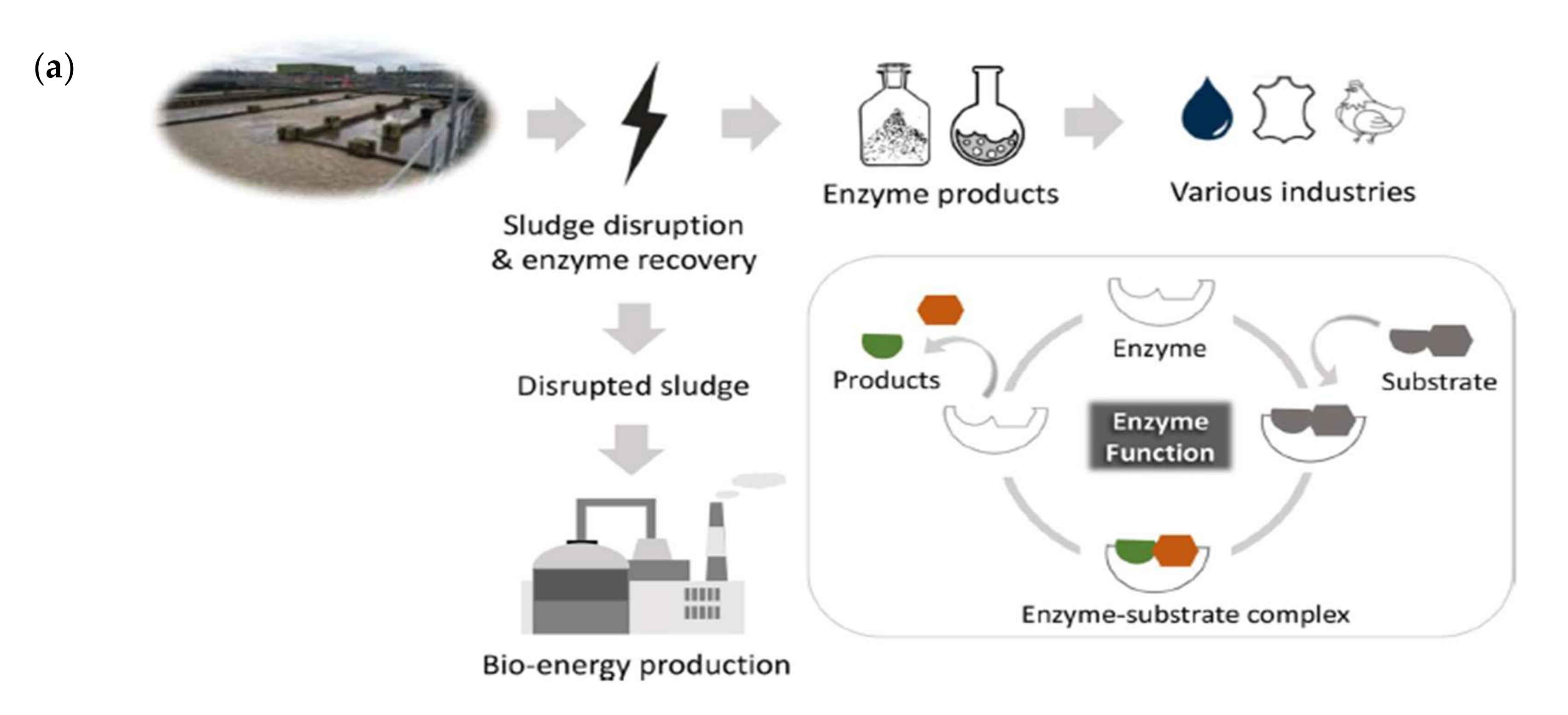 Membranes 12 00148 g003a