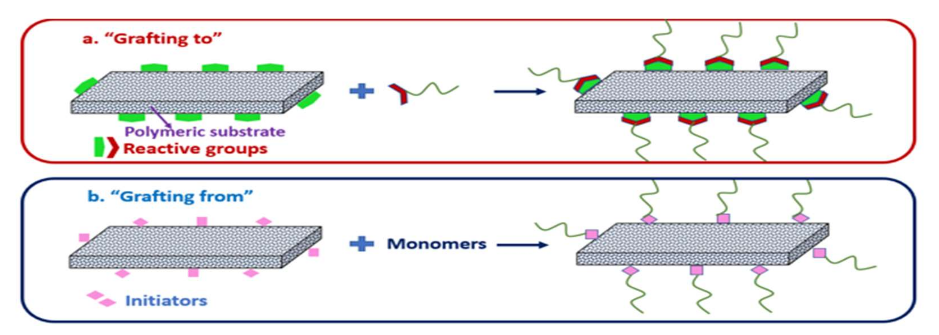 Membranes 12 00148 g007