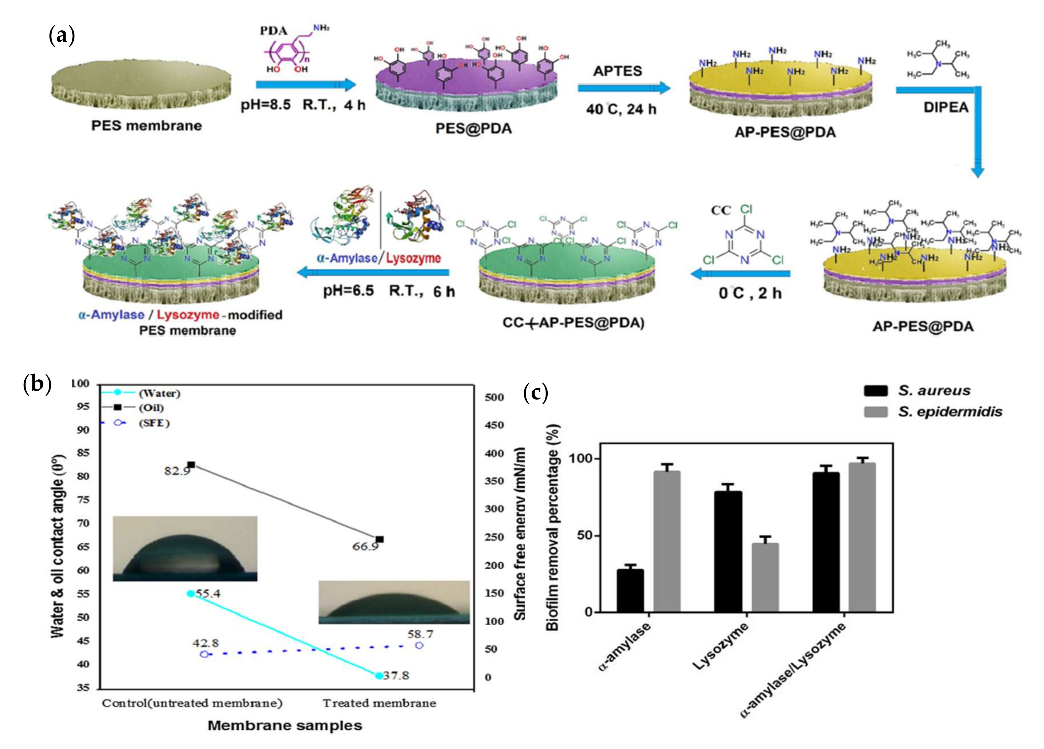 Membranes 12 00148 g009