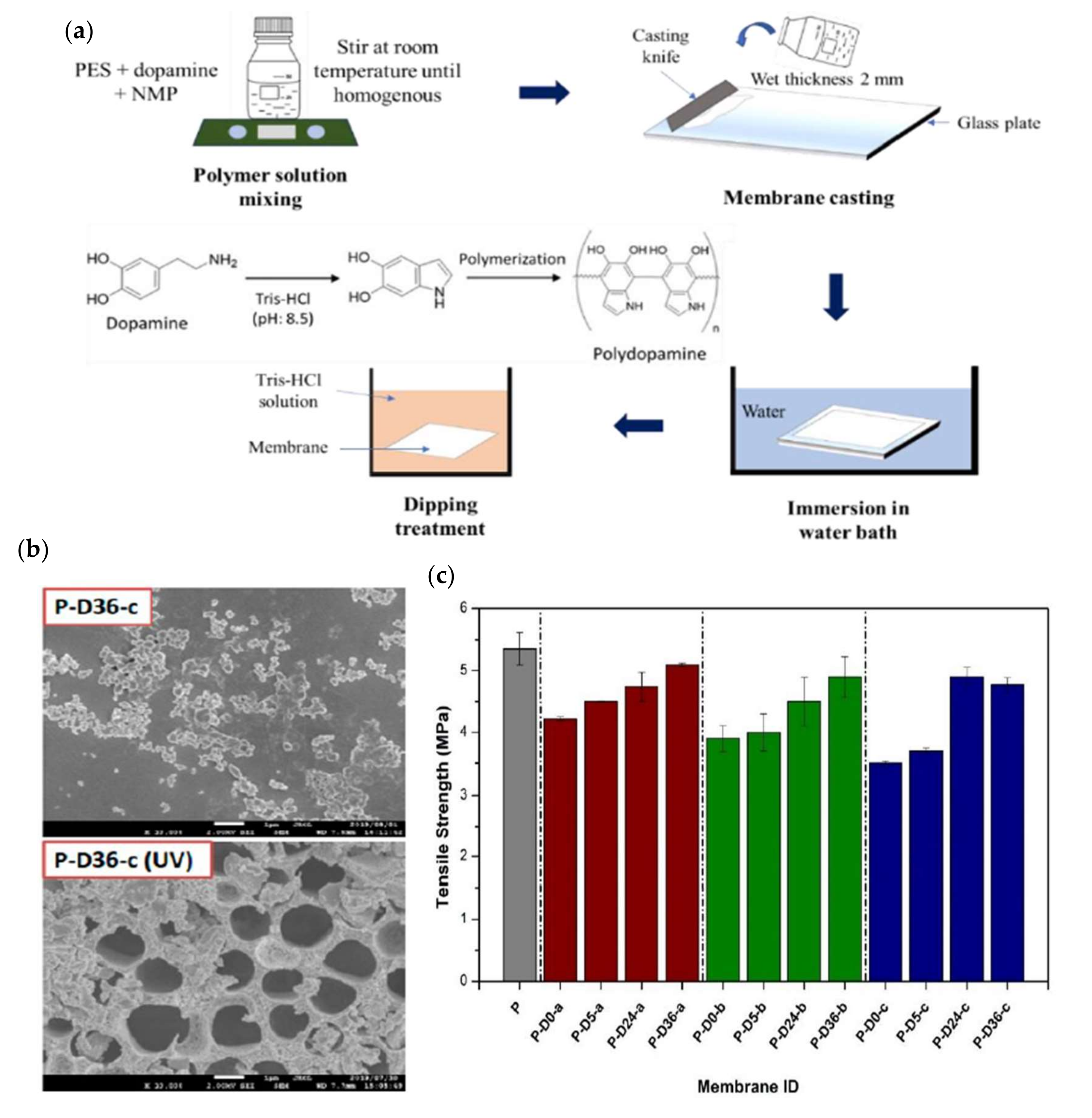 Membranes 12 00148 g011
