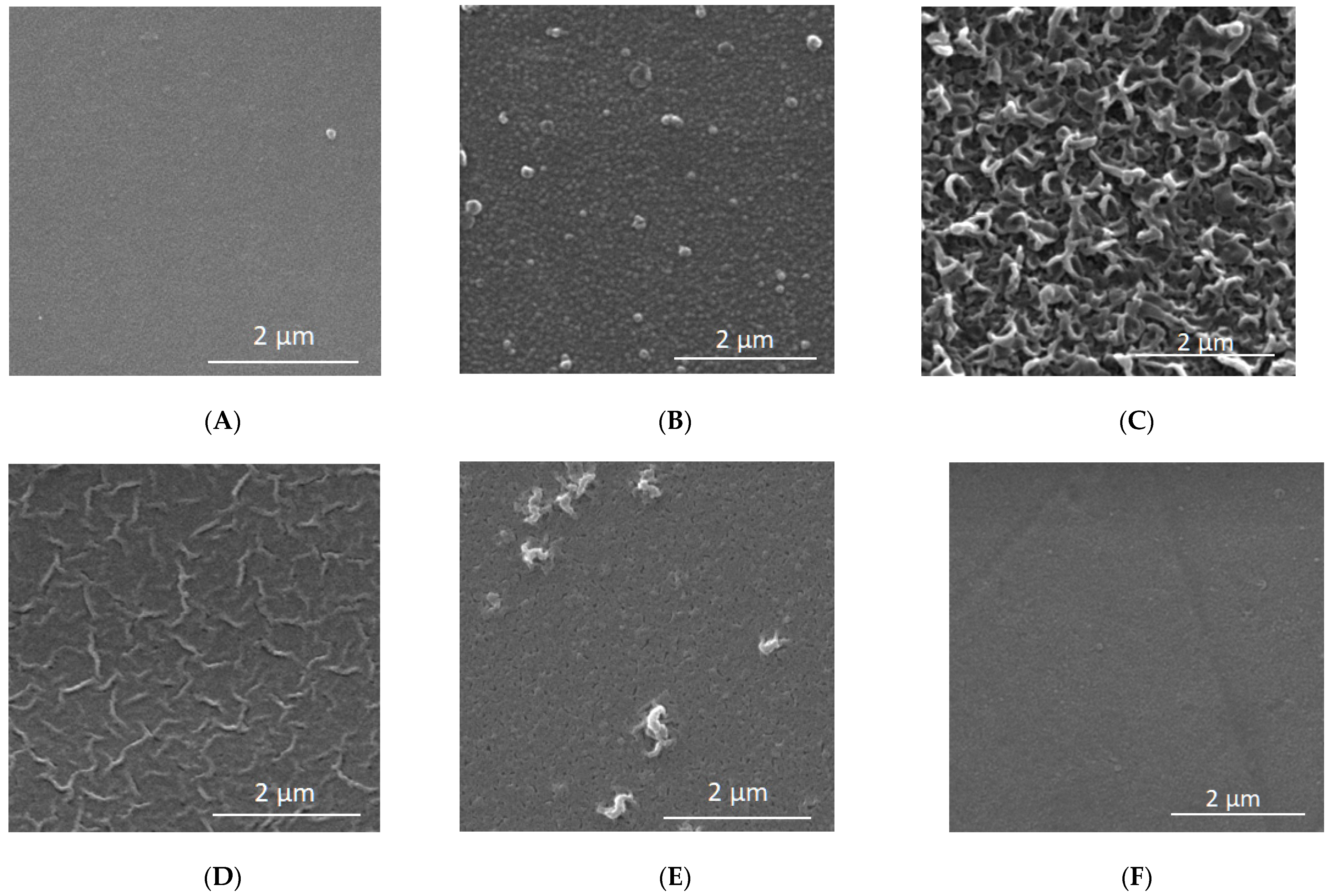 Membranes 12 00150 g009