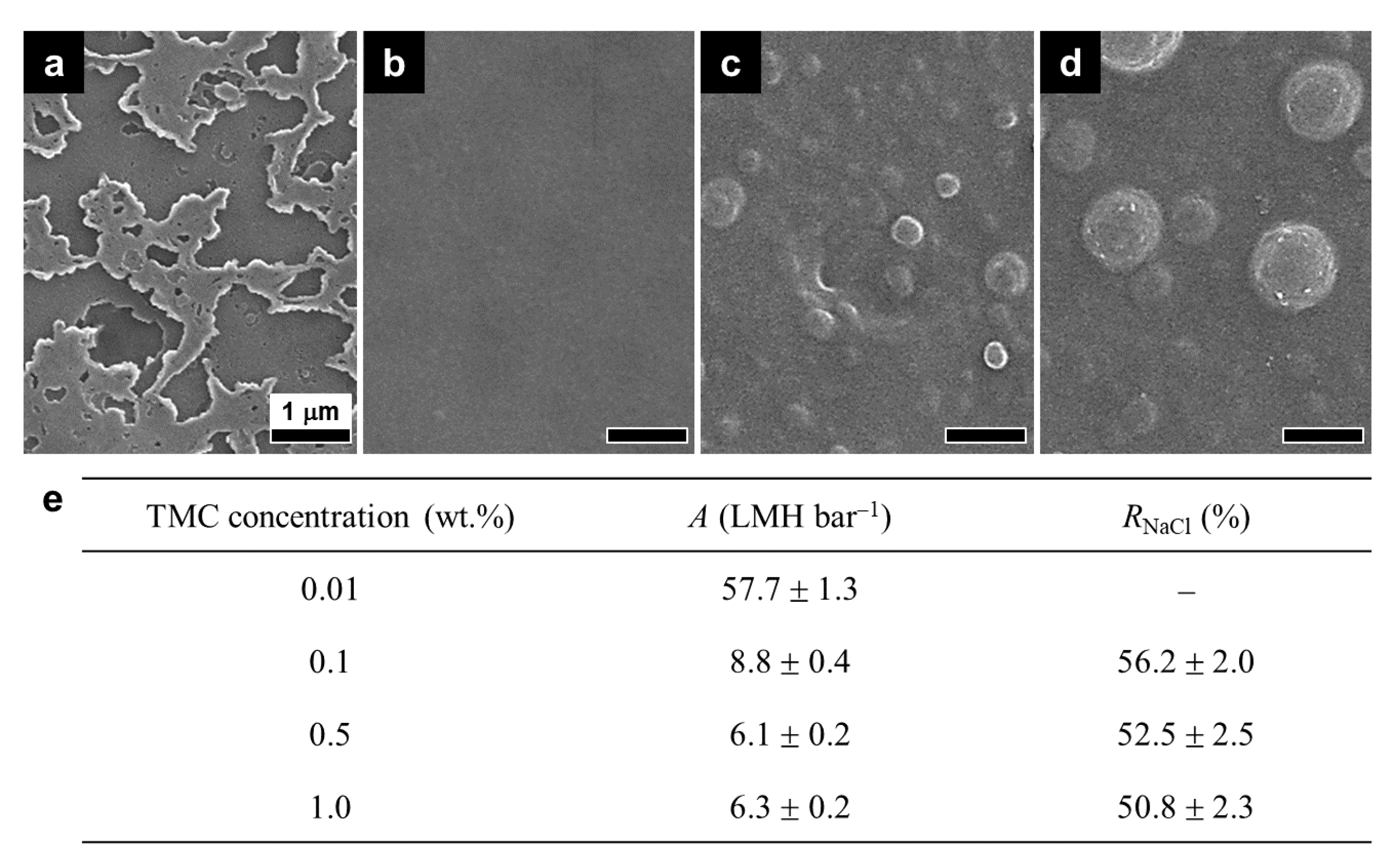 Membranes 12 00156 g003
