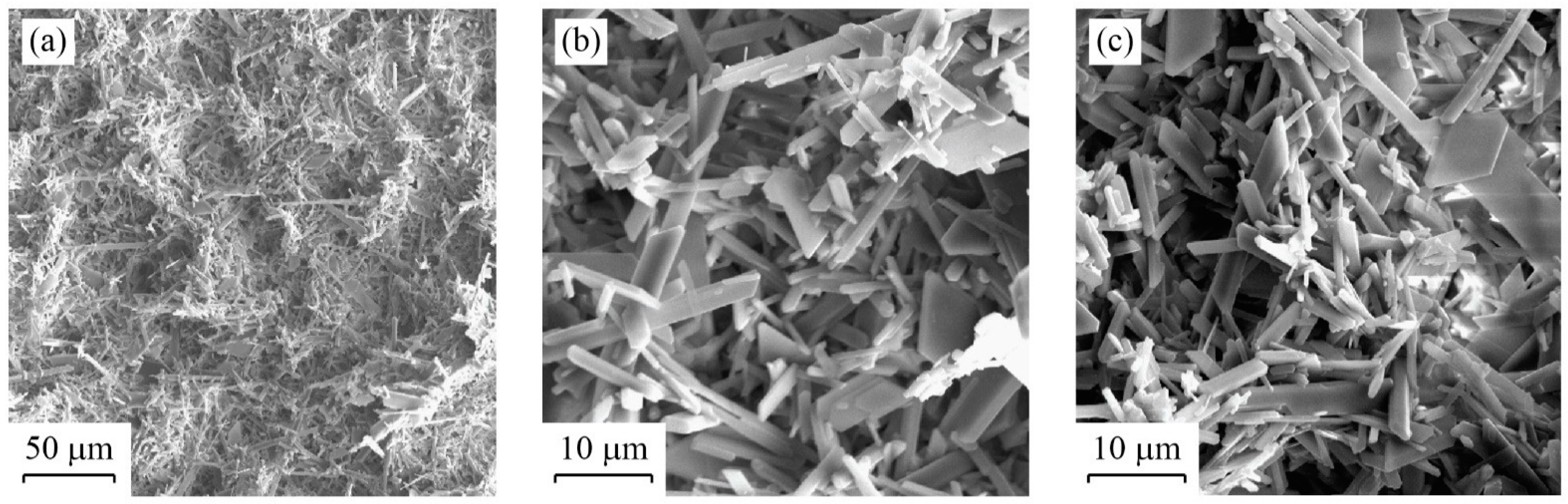 Membranes 12 00157 g005