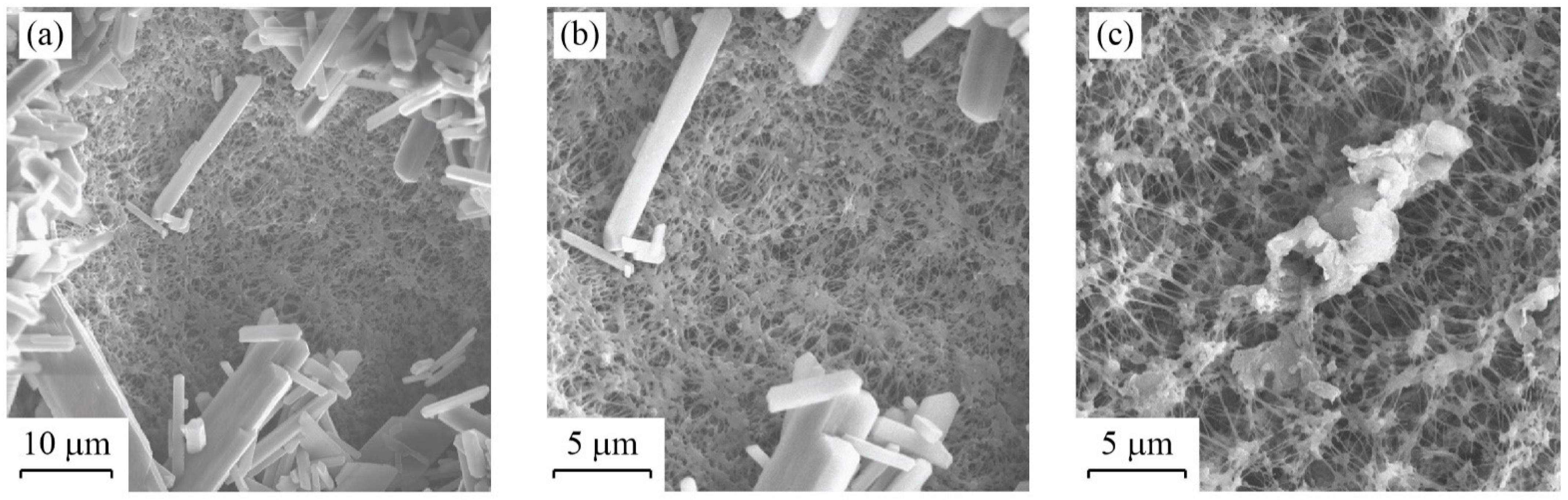 Membranes 12 00157 g006