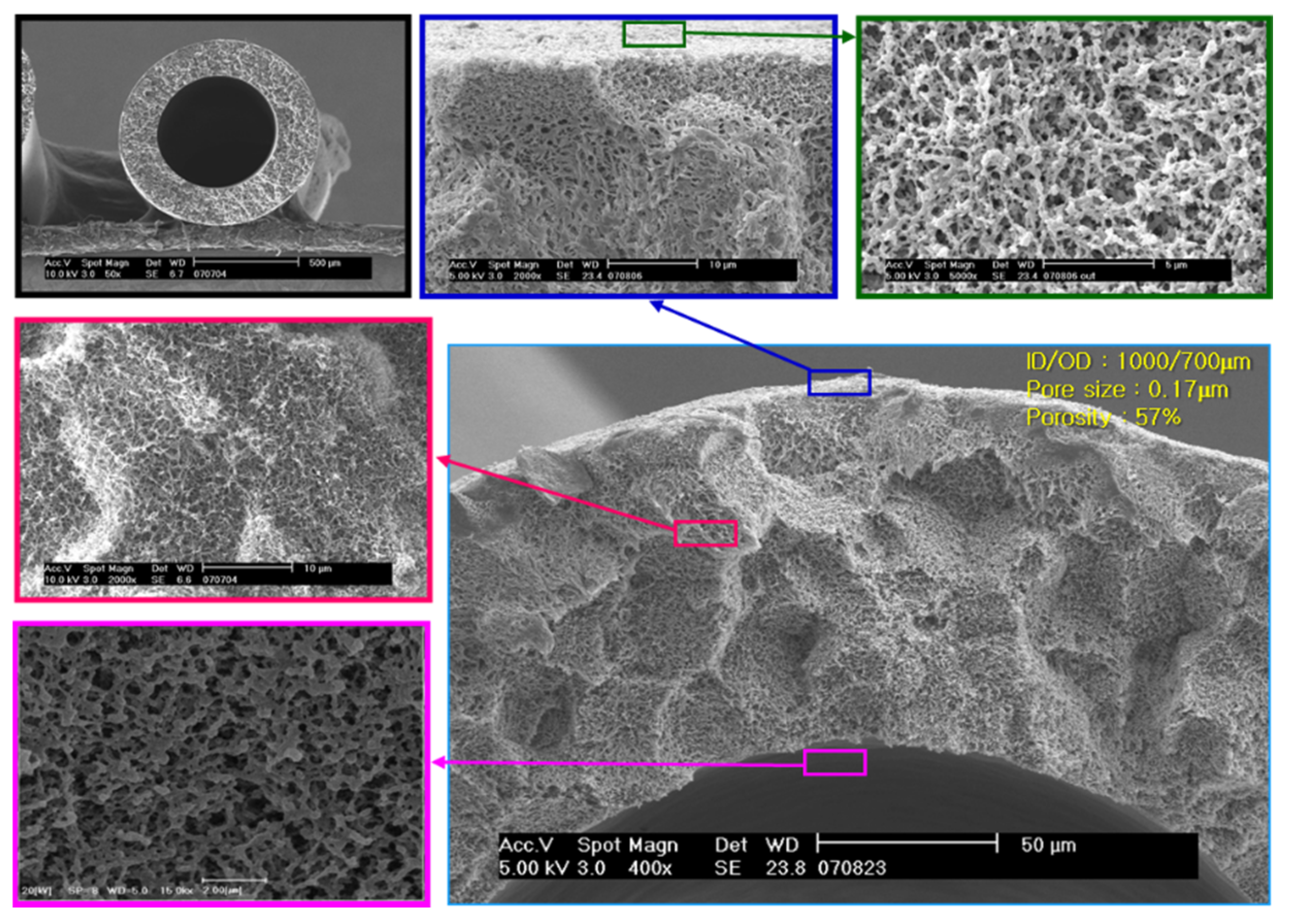 Membranes 12 00158 g004 550