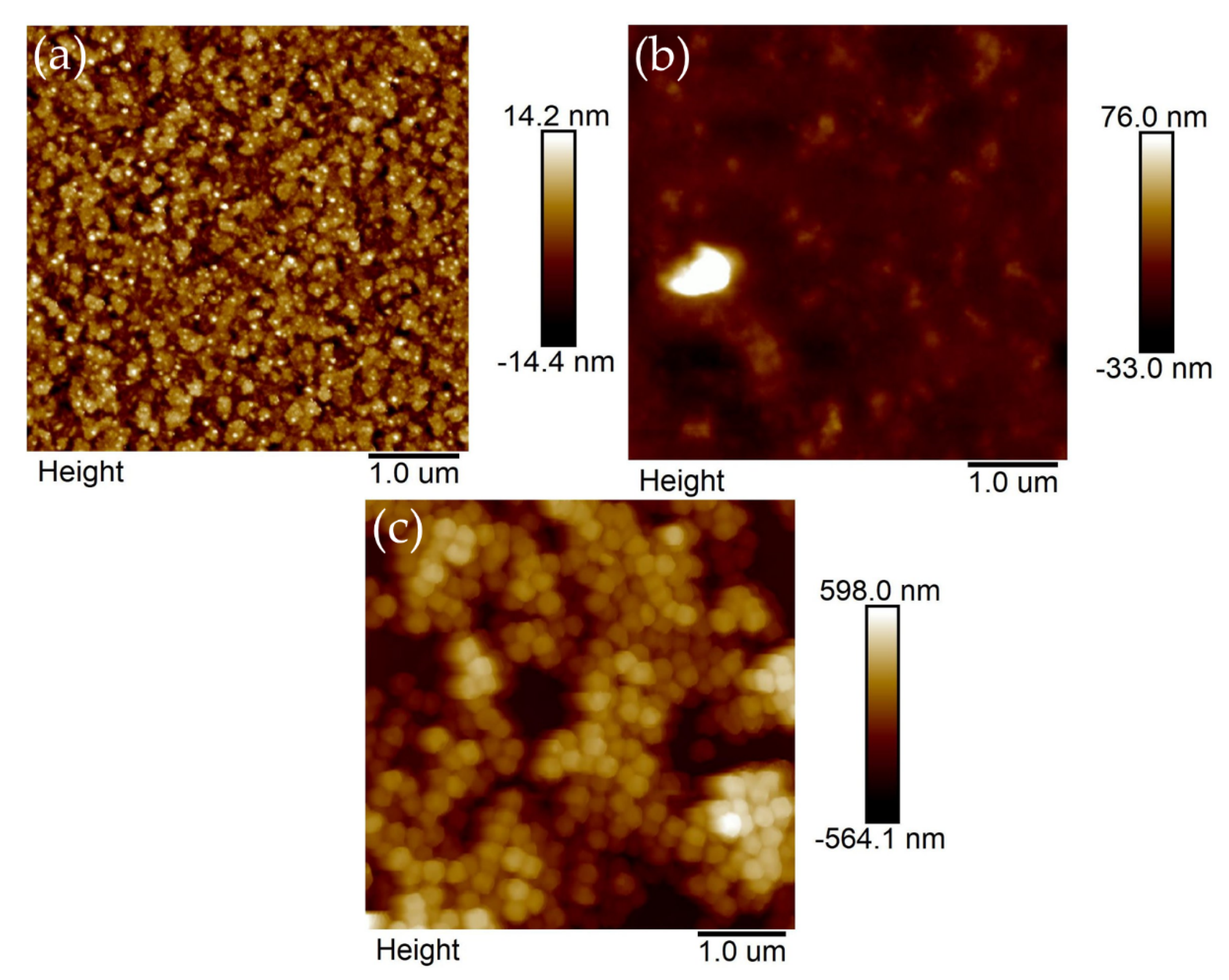Membranes 12 00159 g002