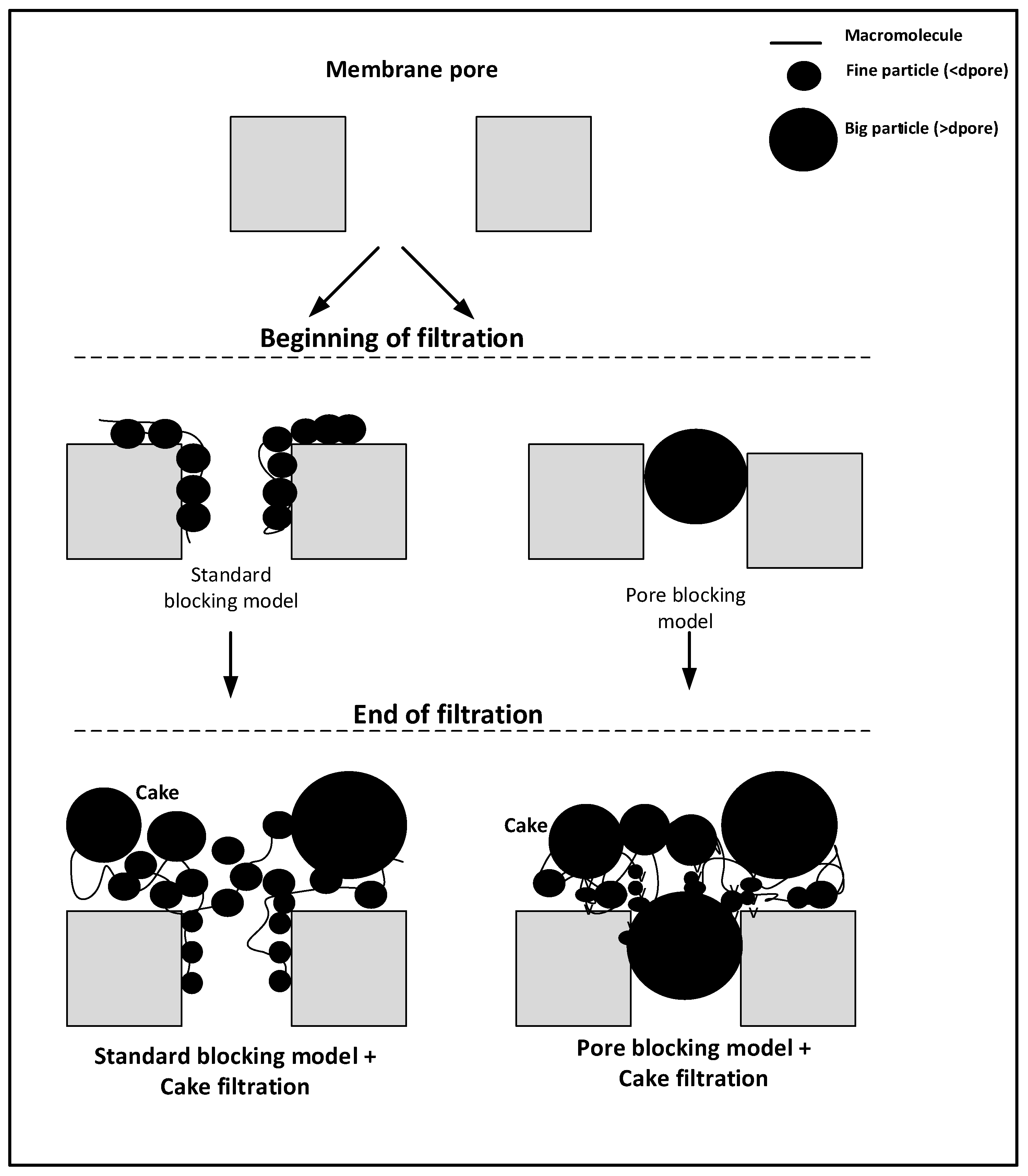 Membranes 12 00161 g004
