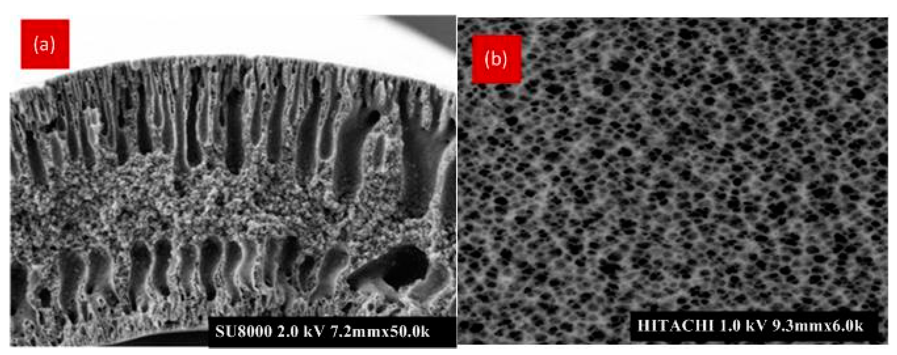 Membranes 12 00161 g005
