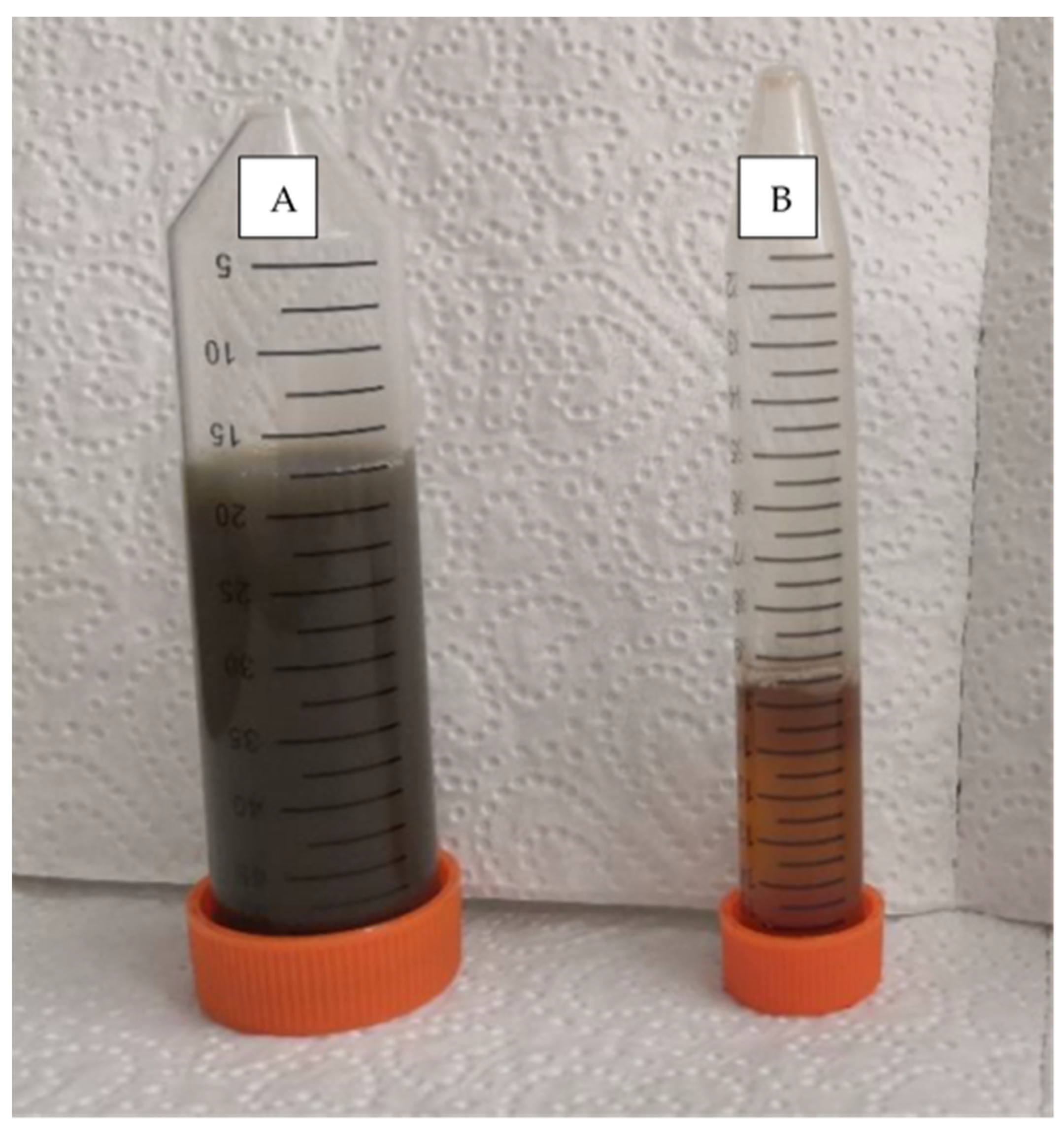 Membranes 12 00165 g002