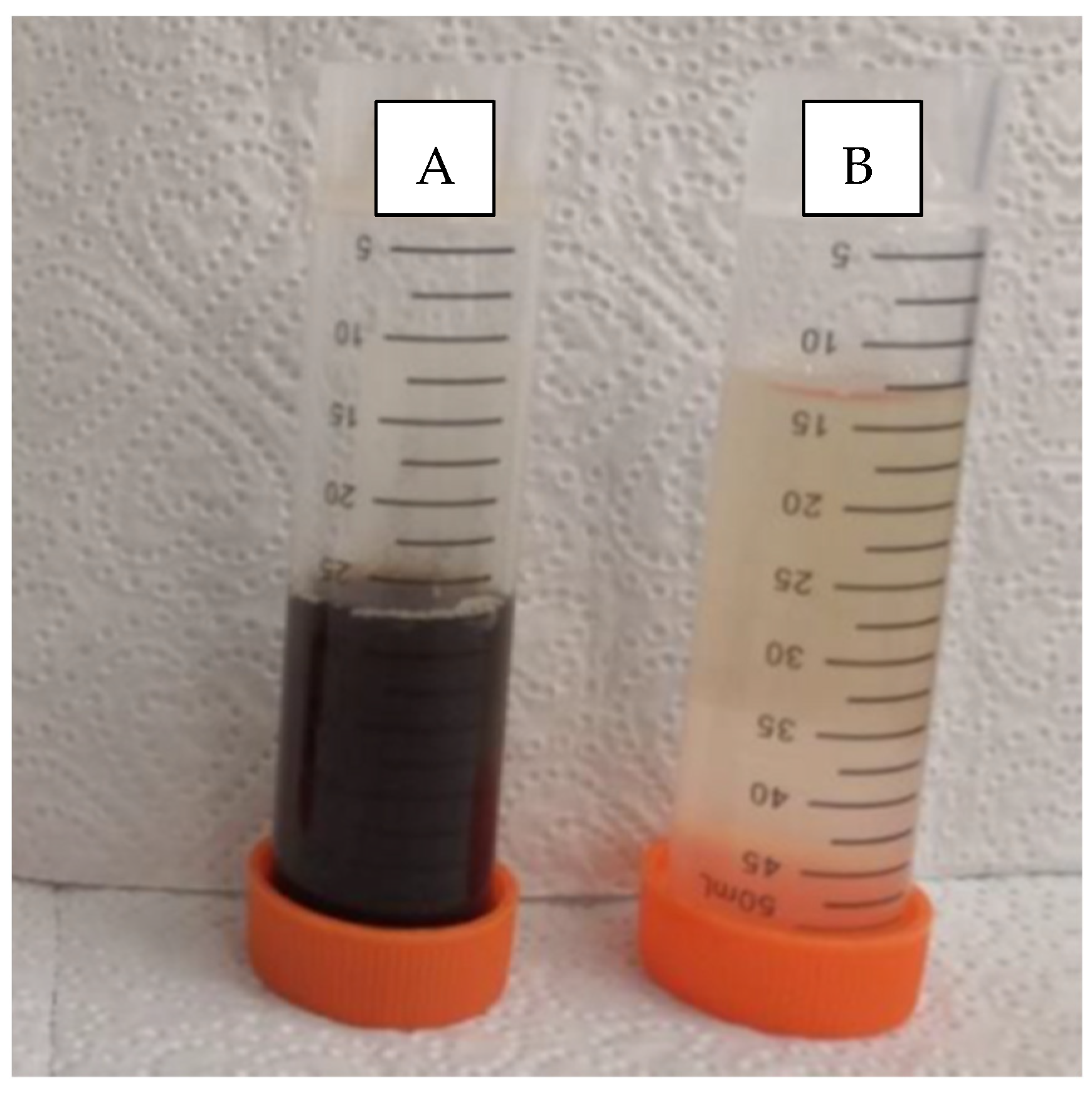Membranes 12 00165 g005