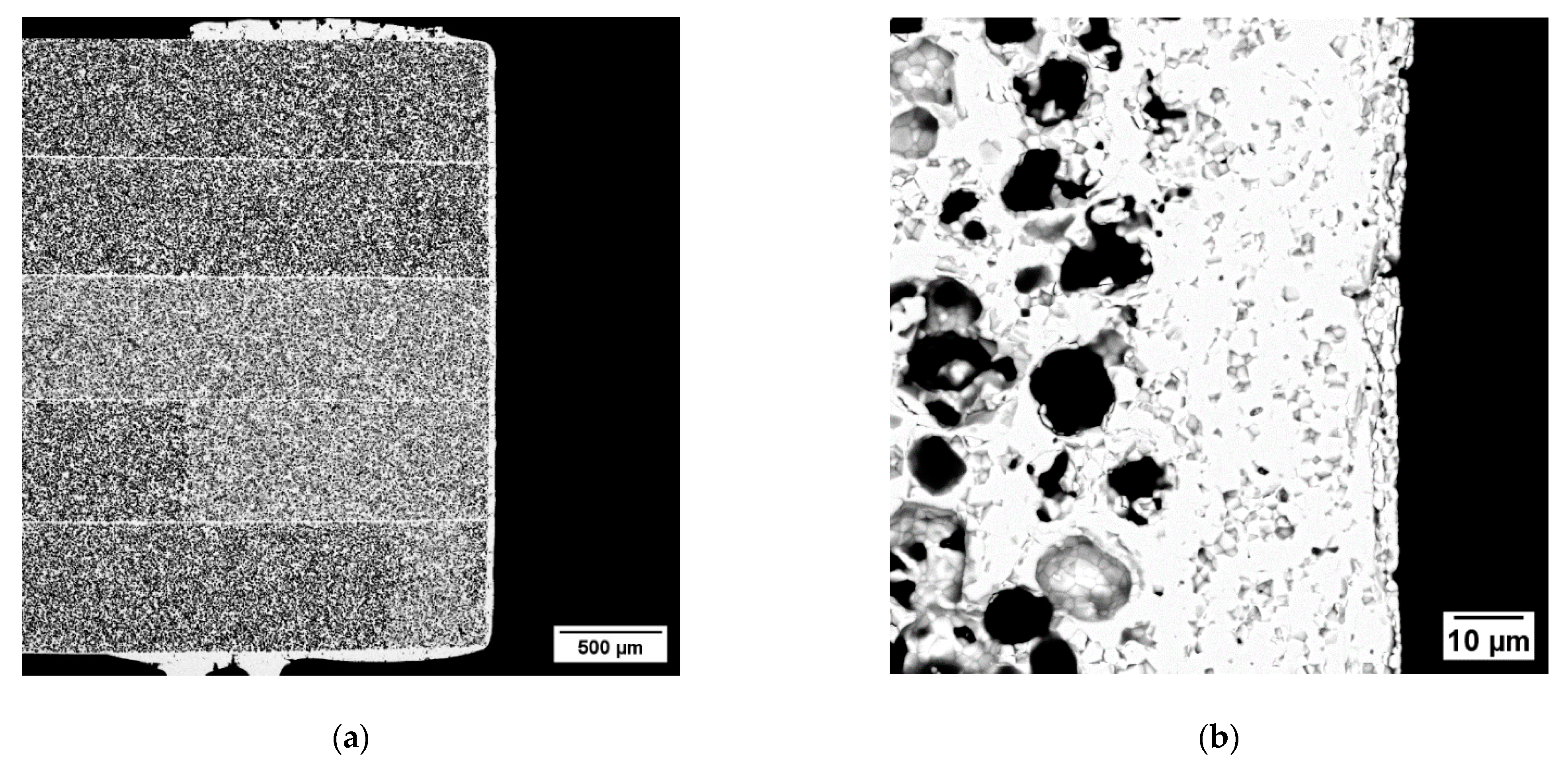 Membranes 12 00167 g007