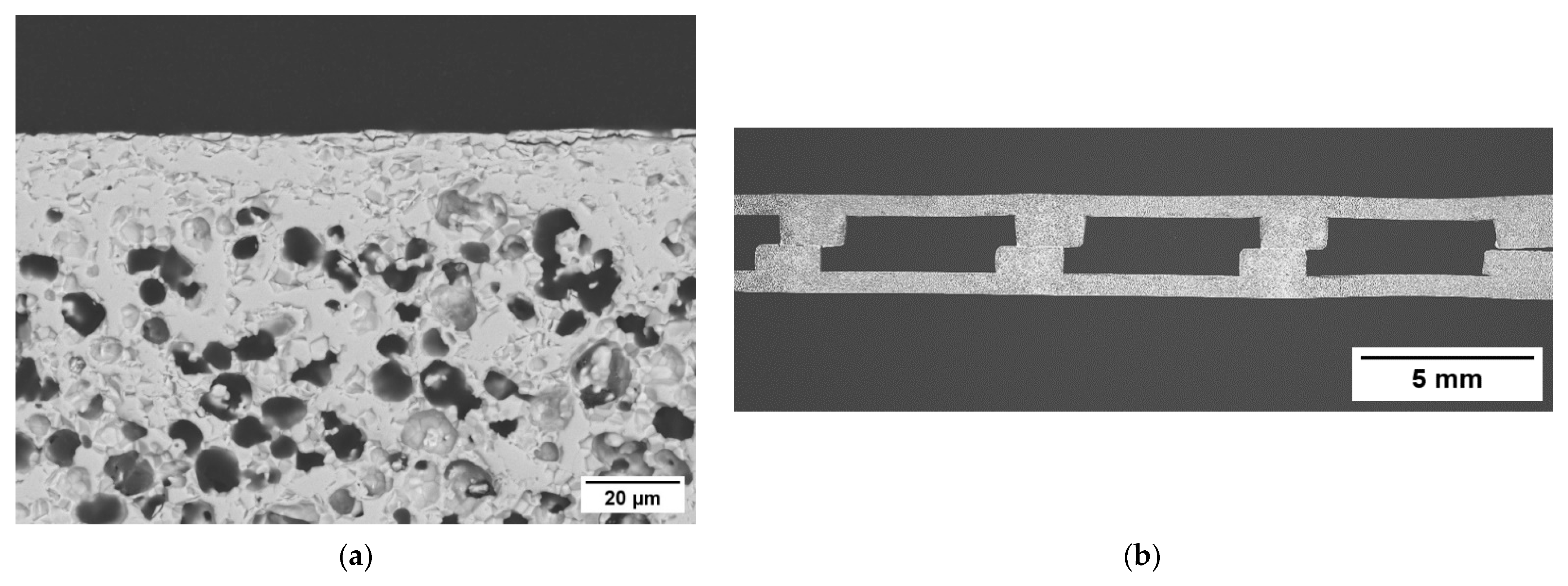 Membranes 12 00167 g008