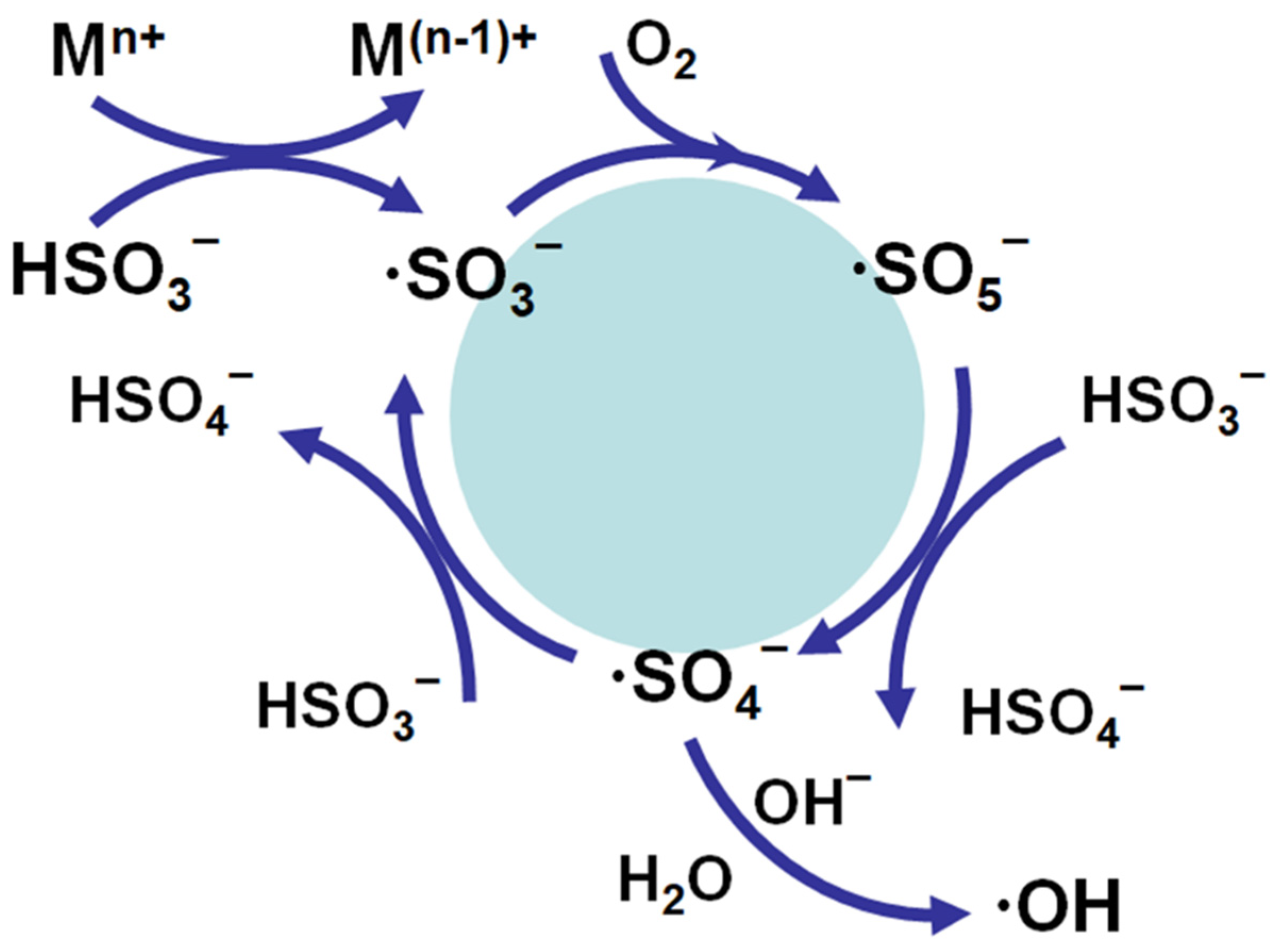 Membranes 12 00170 g006