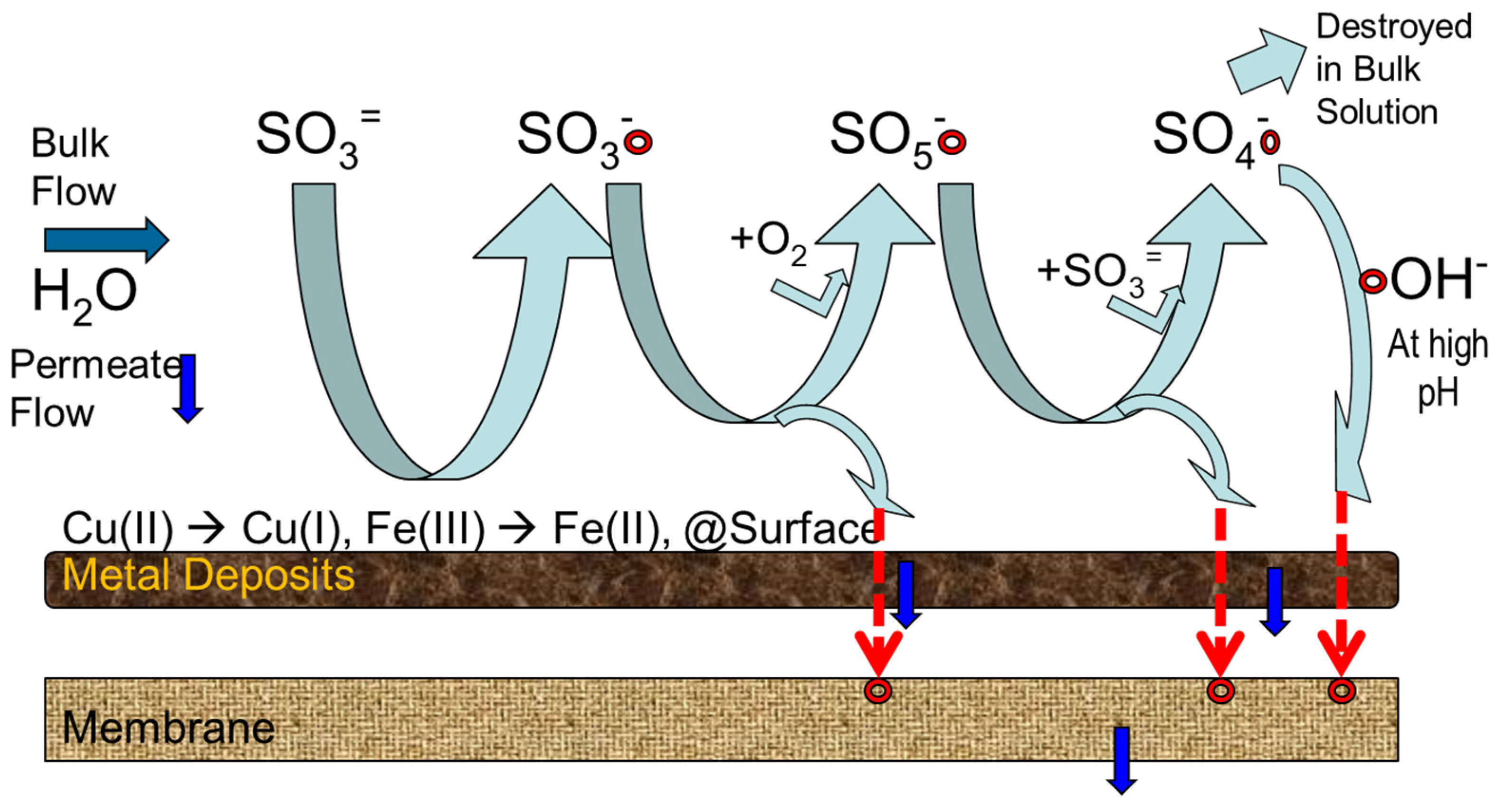 Membranes 12 00170 g007