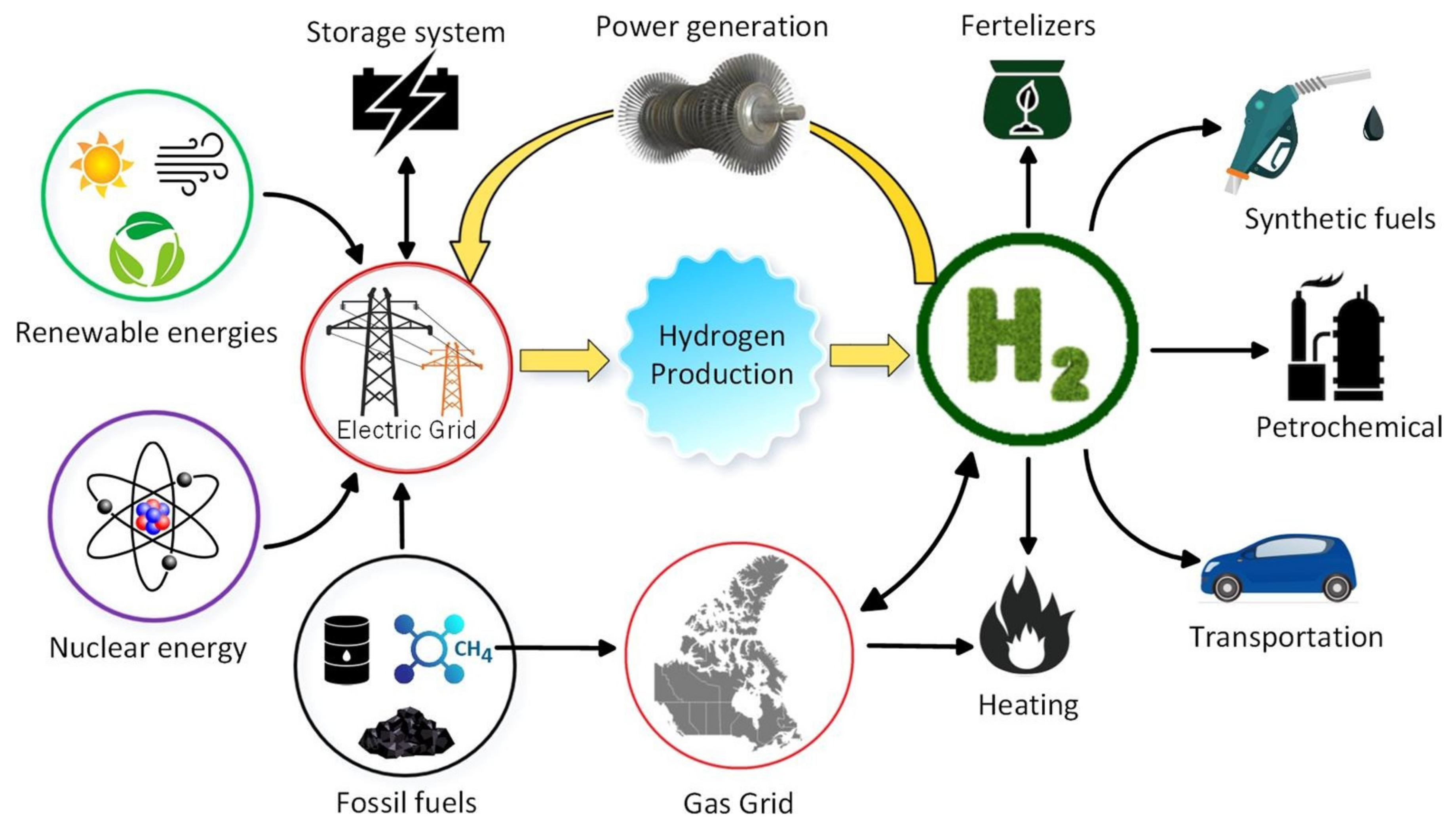 Membranes | Free Full-Text | A Critical Review of Renewable