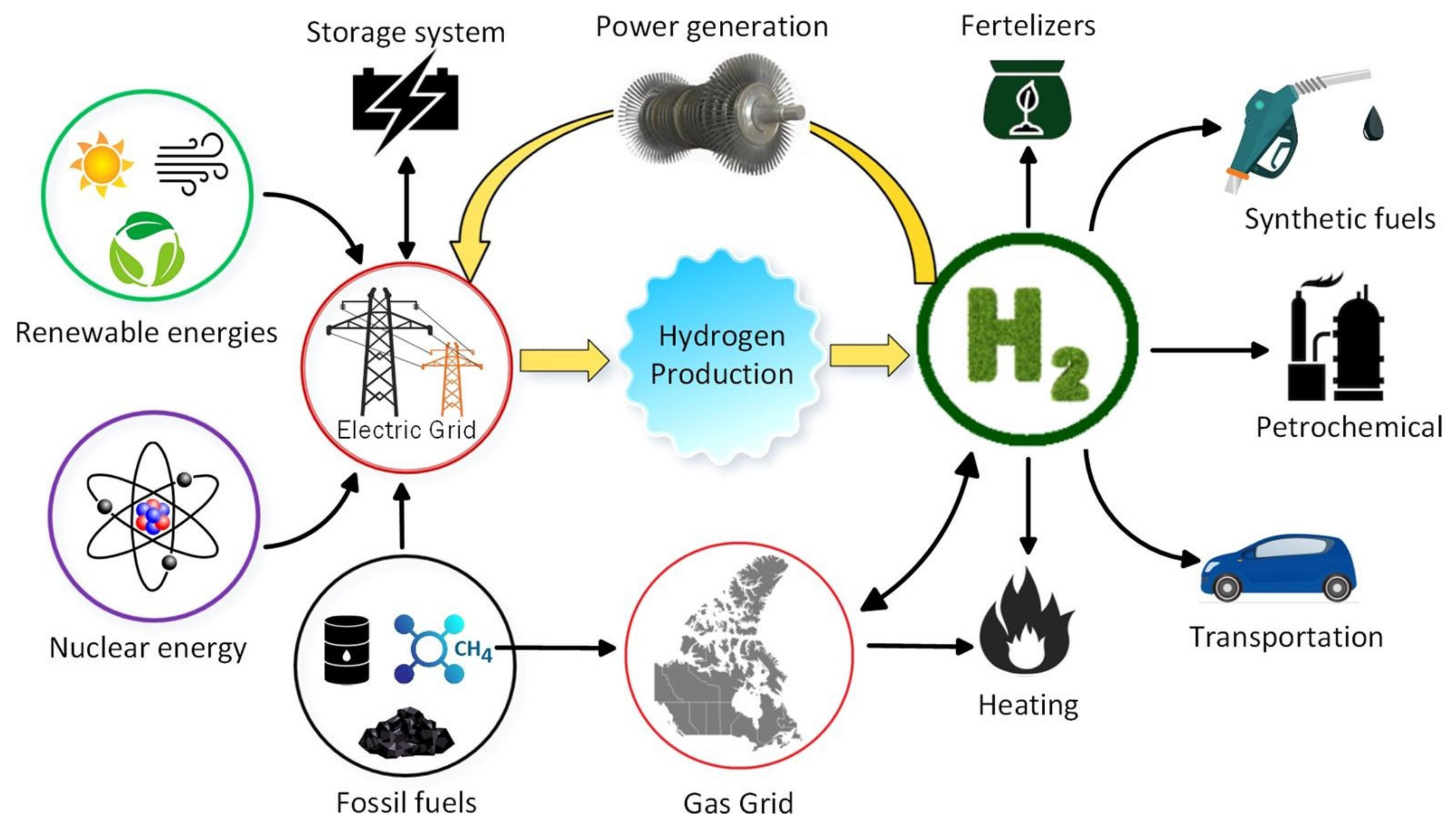 Membranes | Free Full-Text | A Critical Review of Renewable Hydrogen Production Methods: Factors Affecting Their Scale-Up and Its Role in Future Energy Generation | HTML