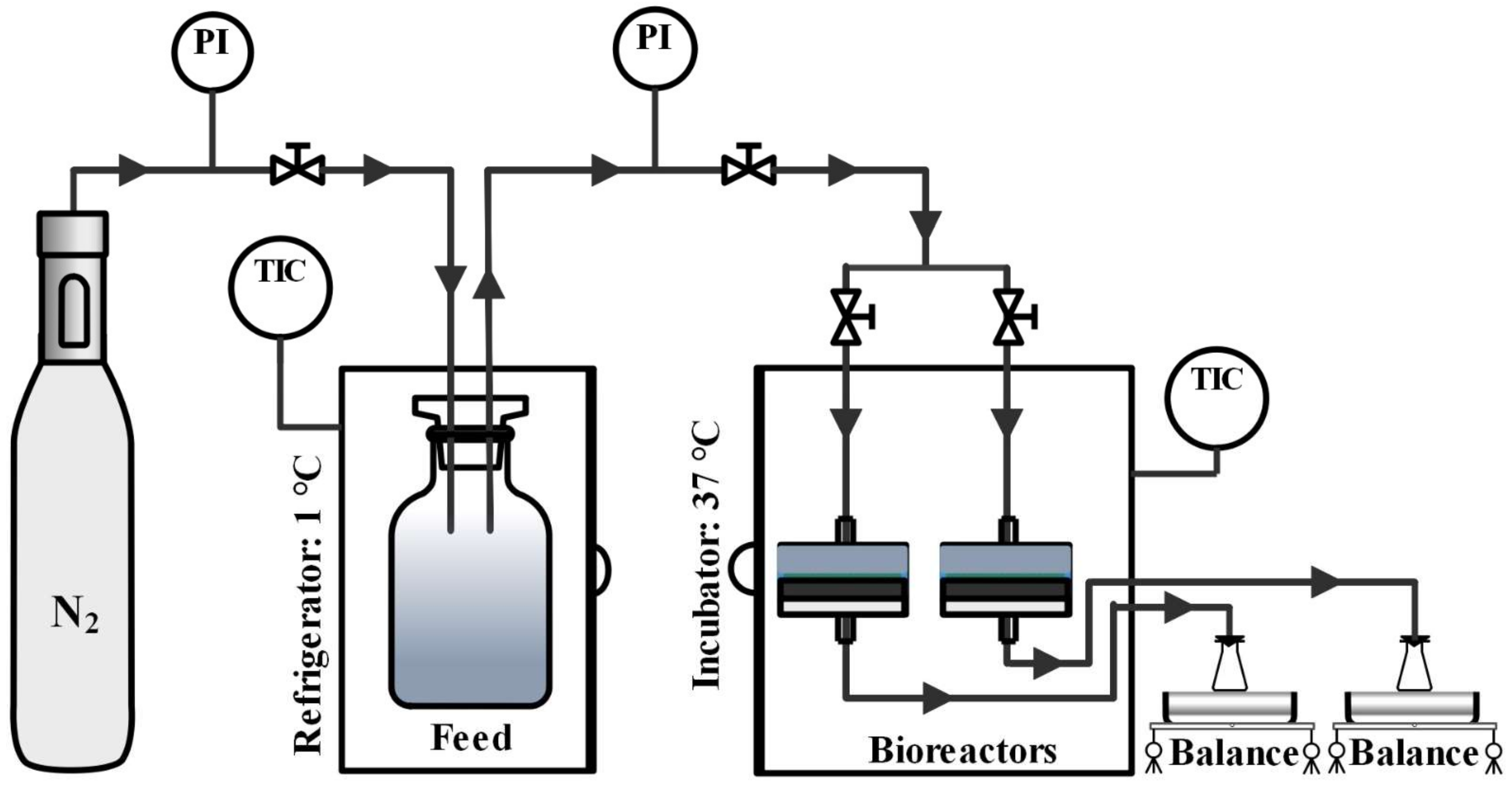 Membranes 12 00174 g001 Membranes 12 00174 g001