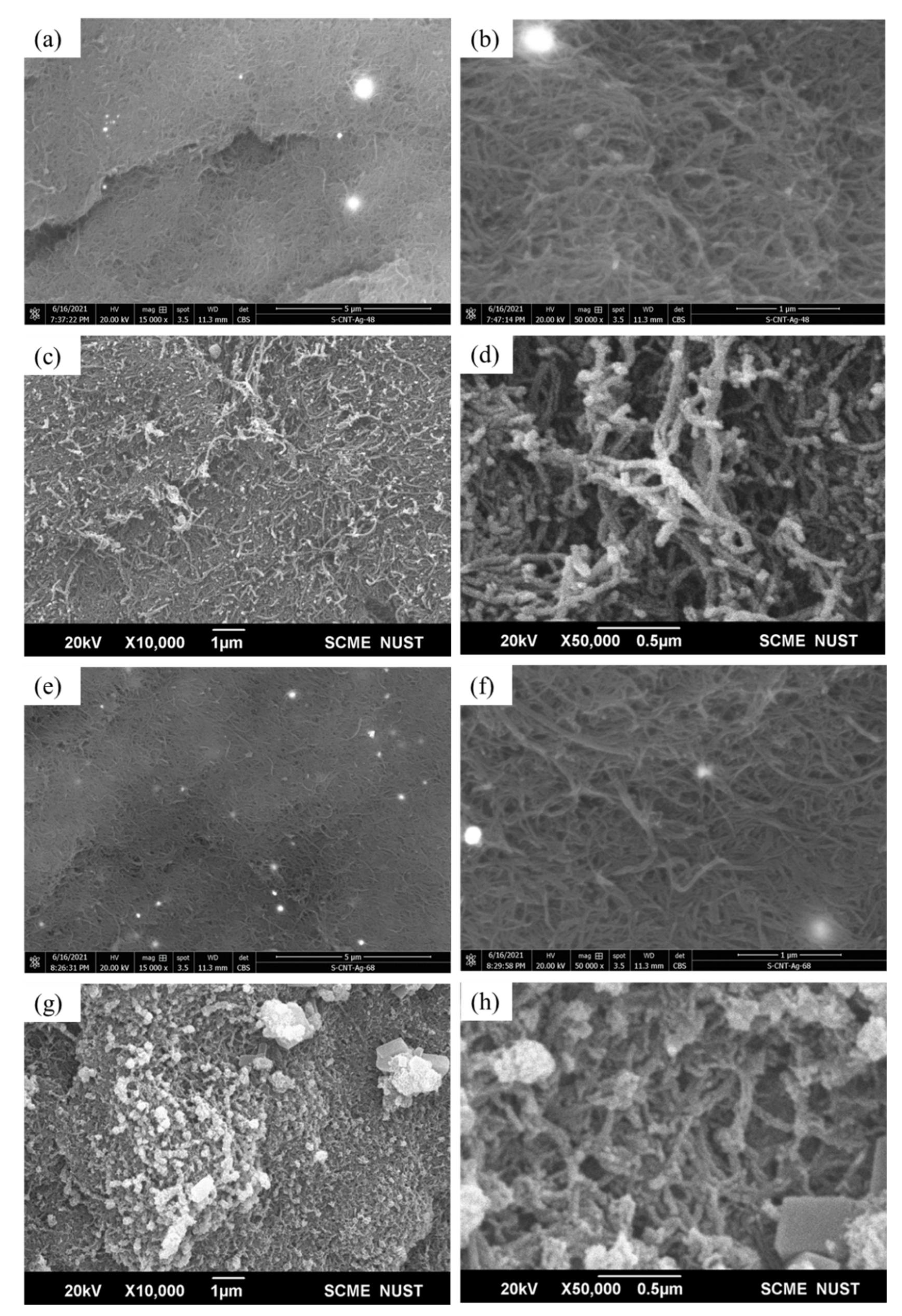 Membranes 12 00179 g010