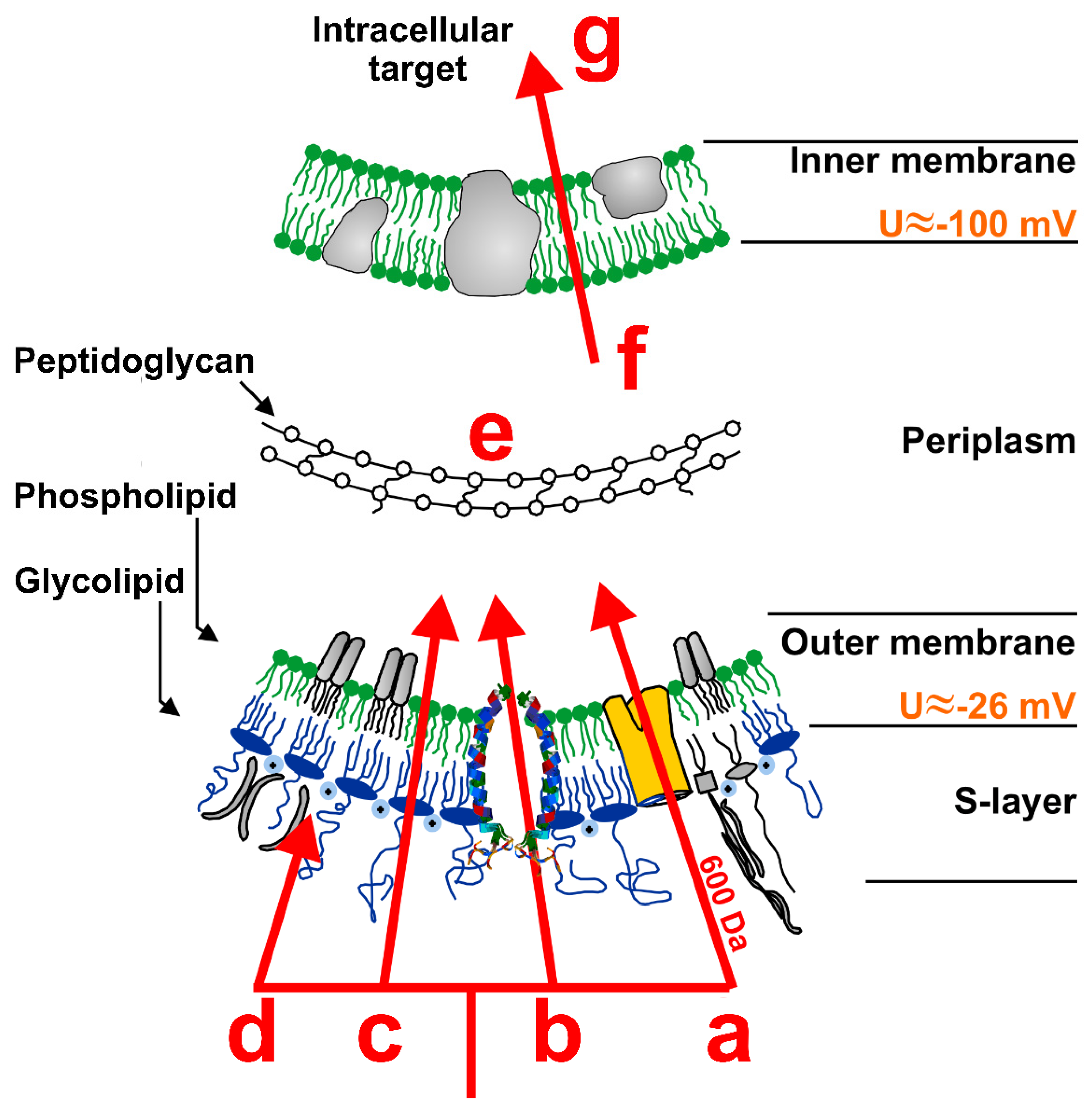 Membranes 12 00180 g001 Membranes 12 00180 g001