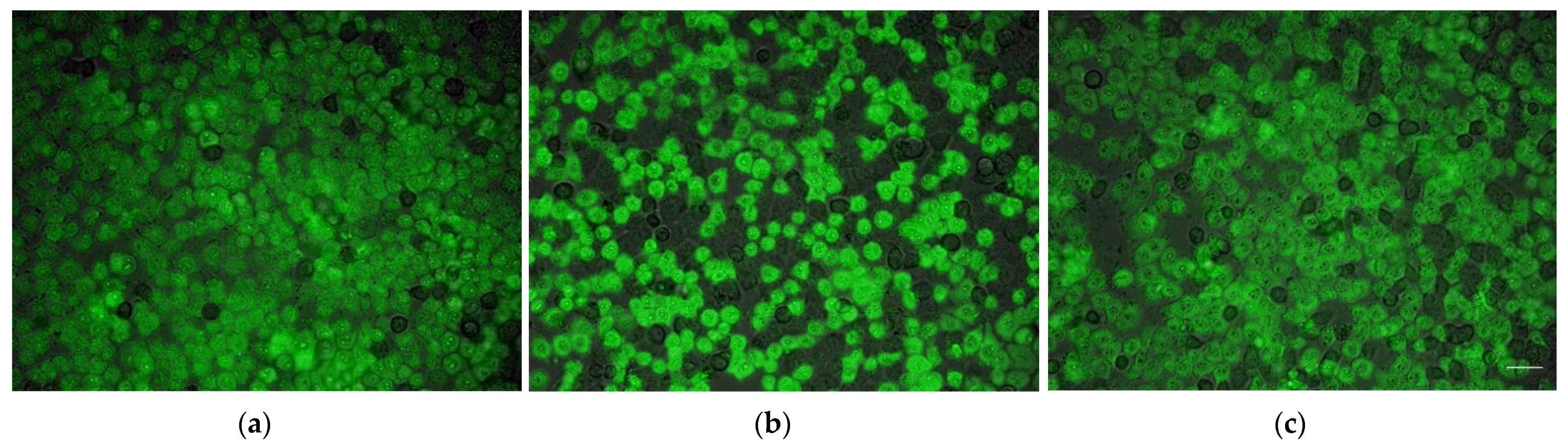 Membranes 12 00180 g002 Membranes 12 00180 g002
