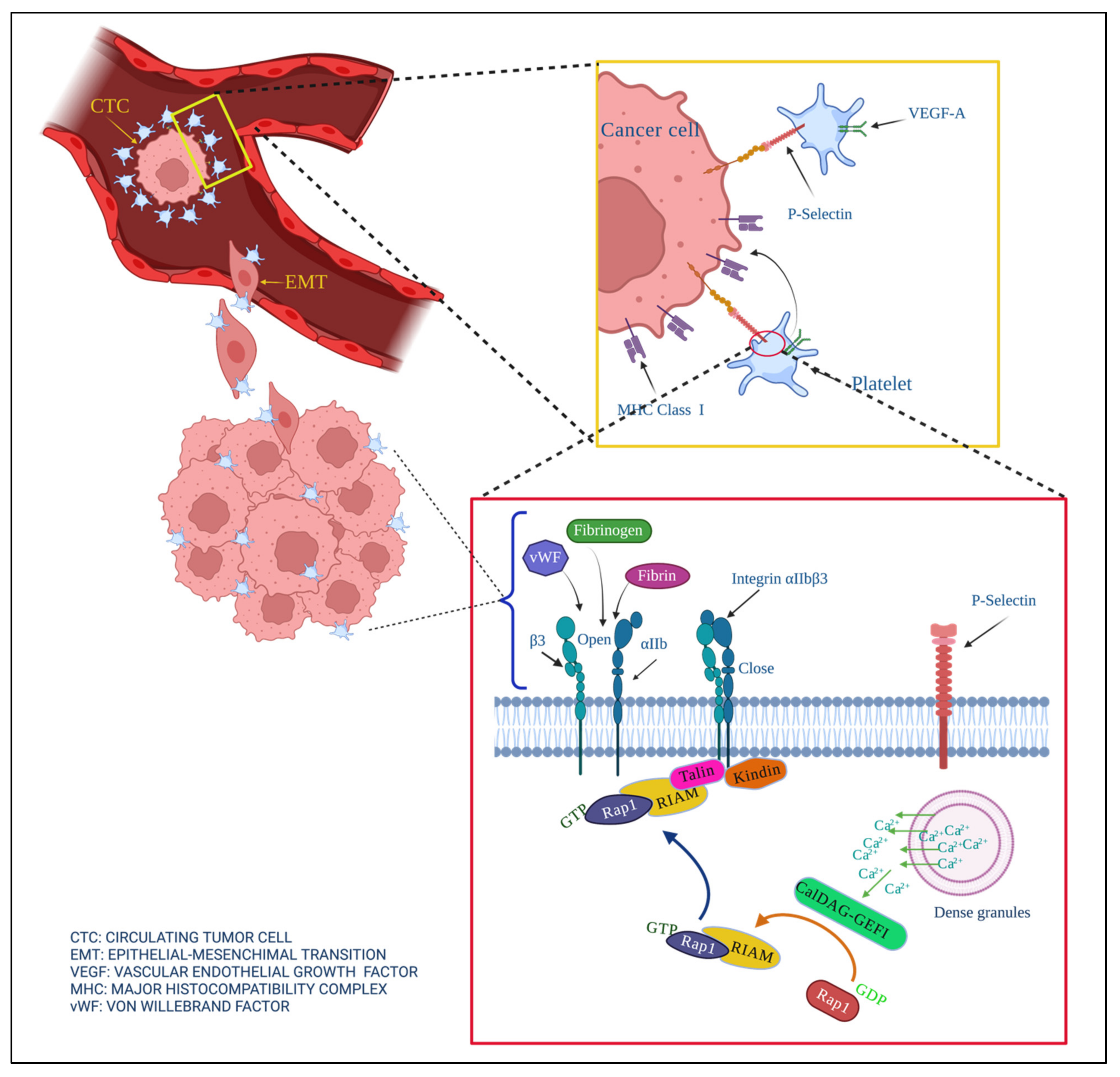 Membranes 12 00182 g003 Membranes 12 00182 g003