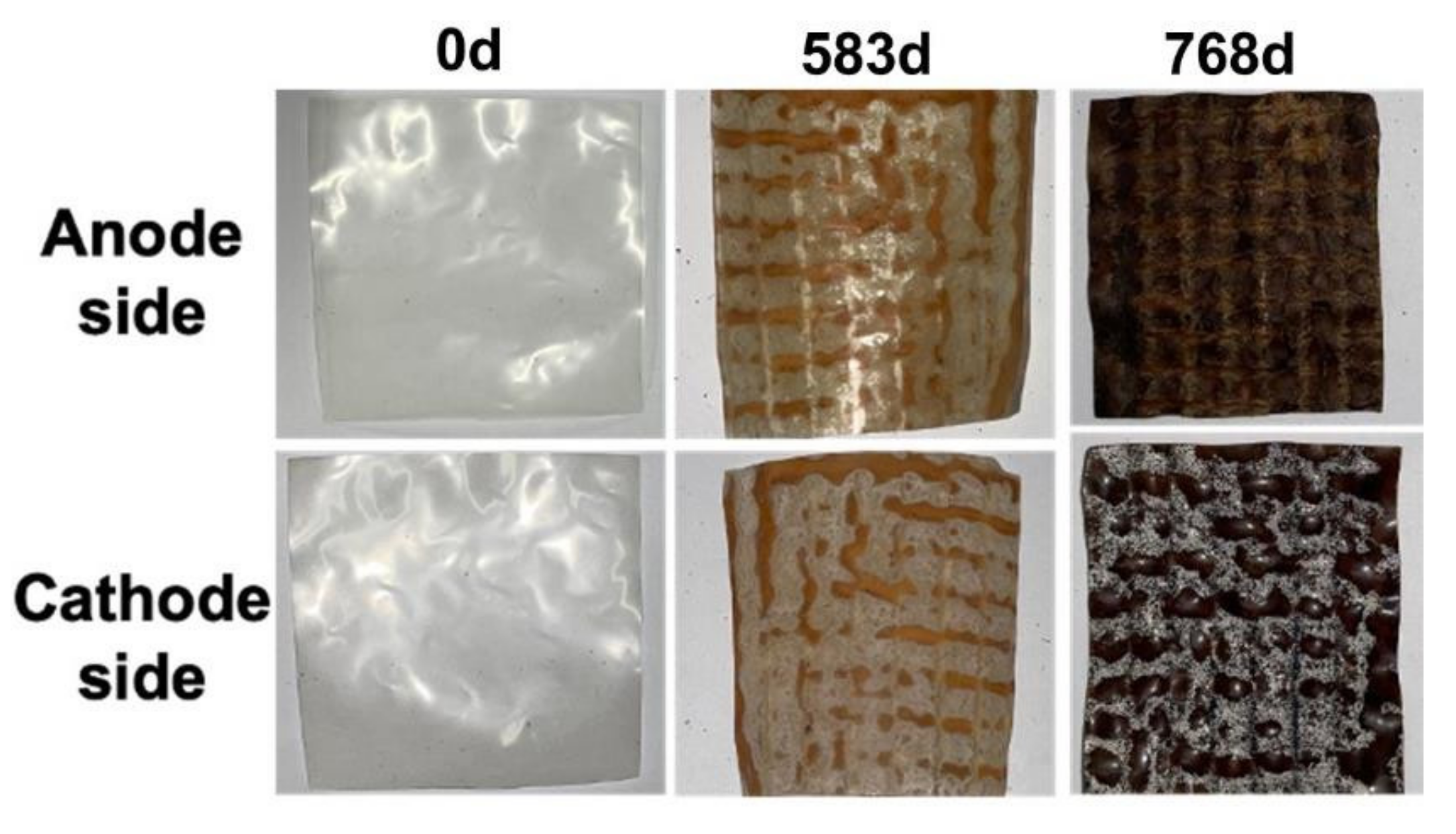 Membranes 12 00183 g003