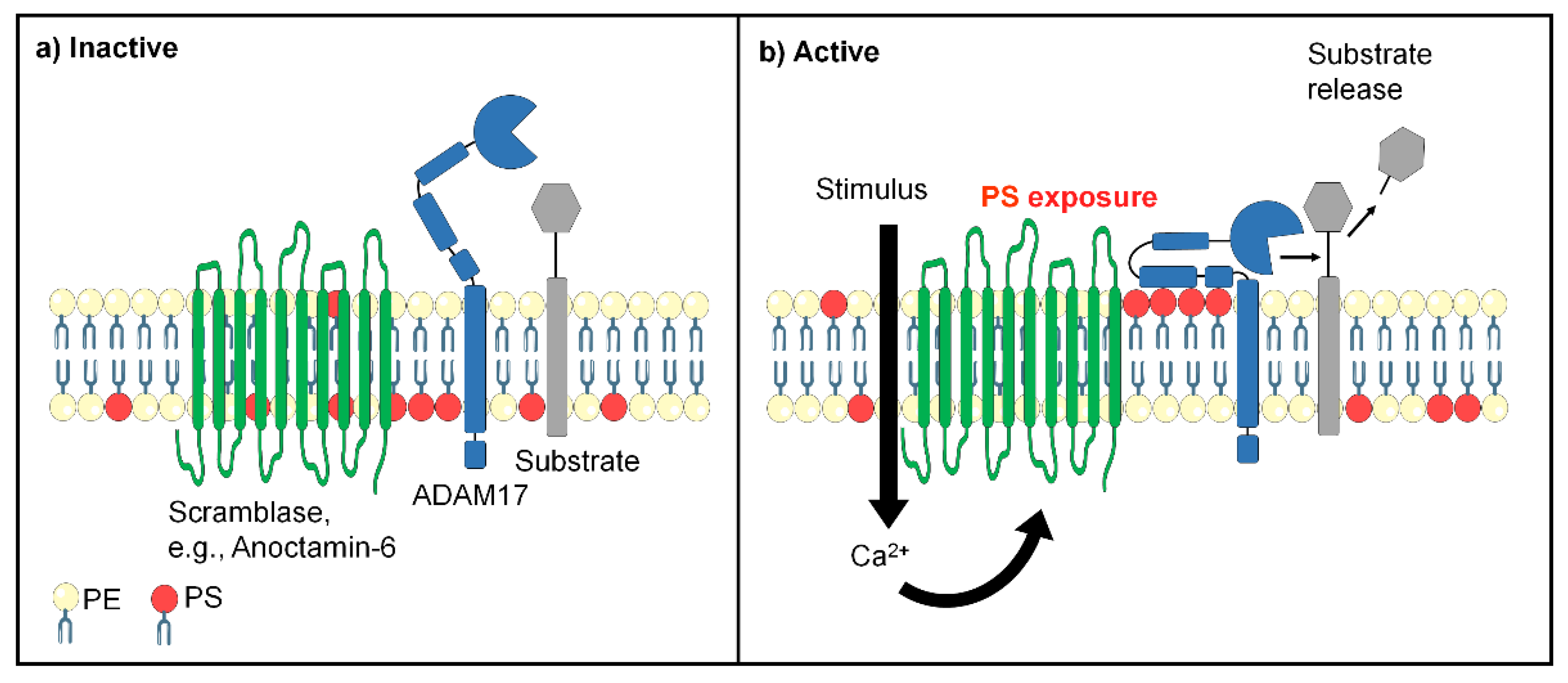 Membranes 12 00185 g001 Membranes 12 00185 g001