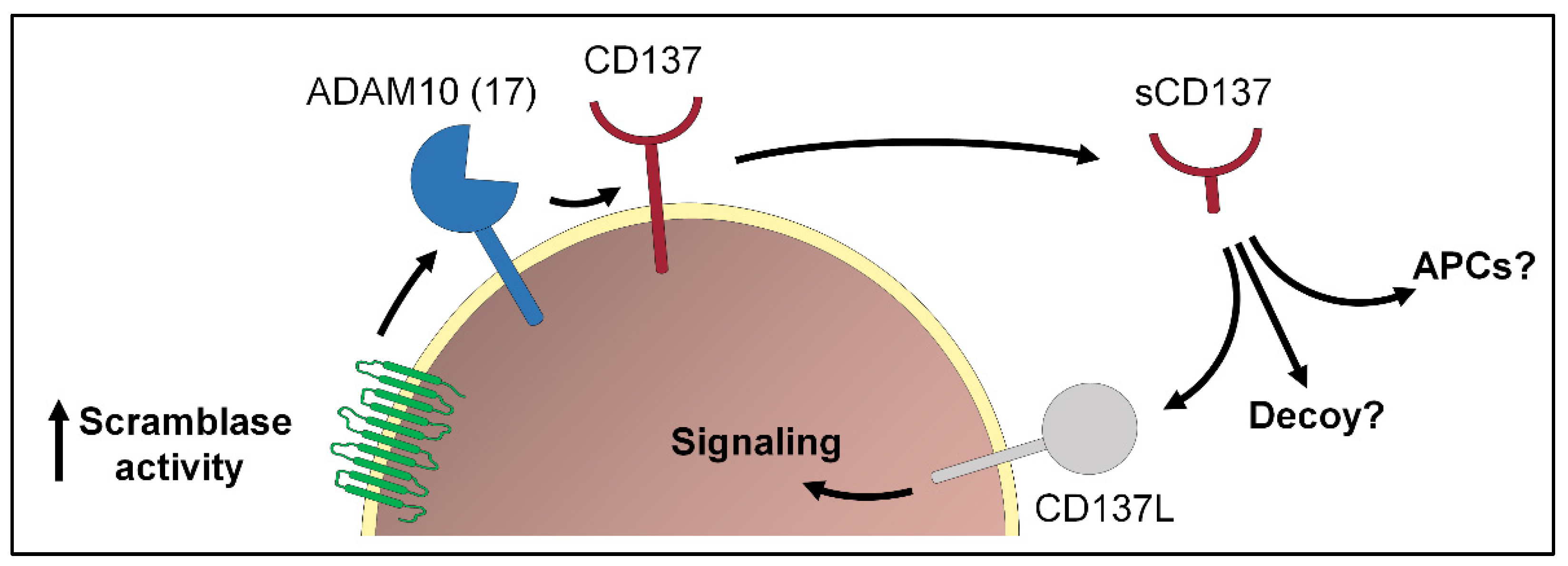 Membranes 12 00185 g002 Membranes 12 00185 g002